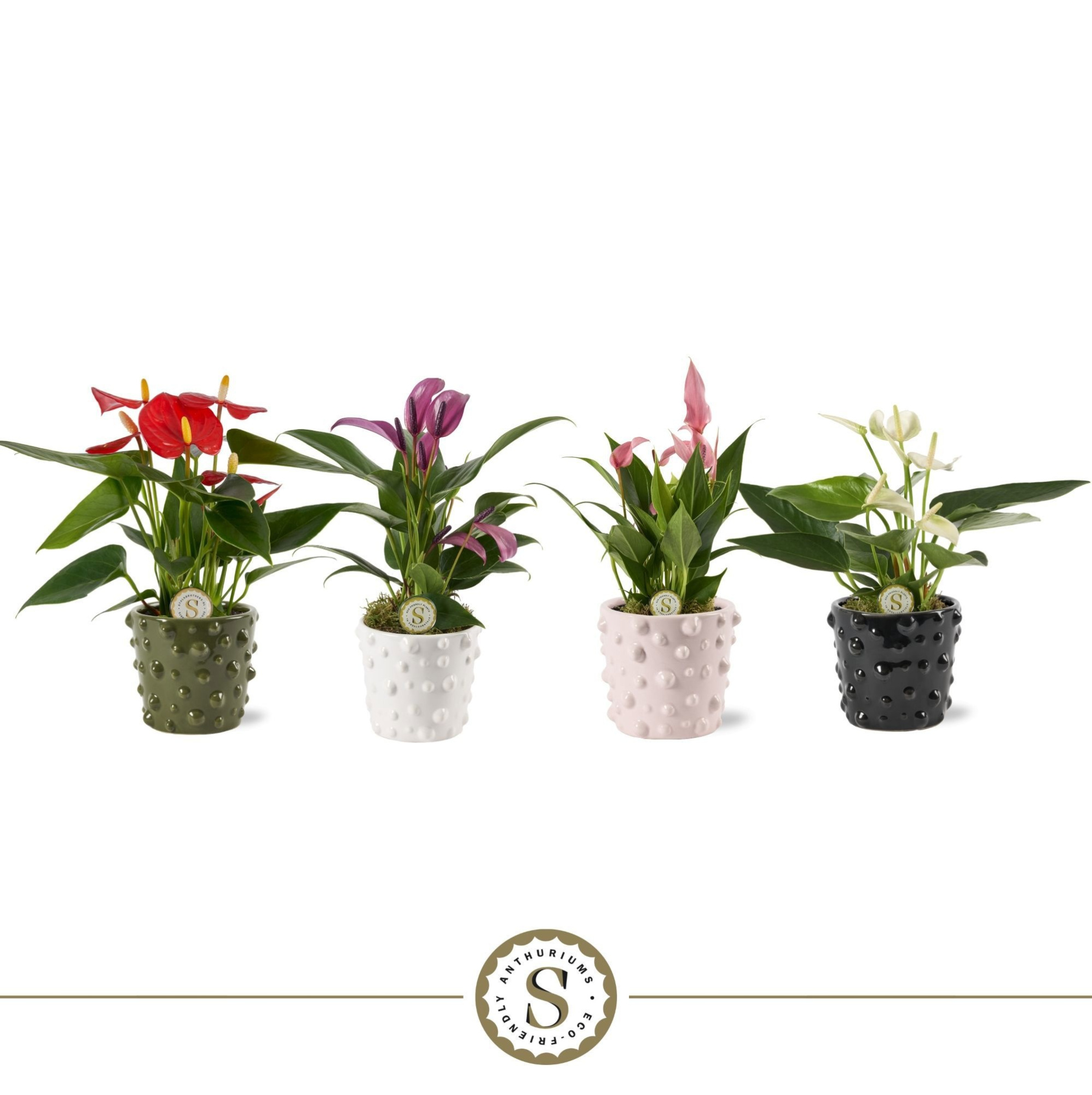 Puglia Keramiek - Mix, D 7