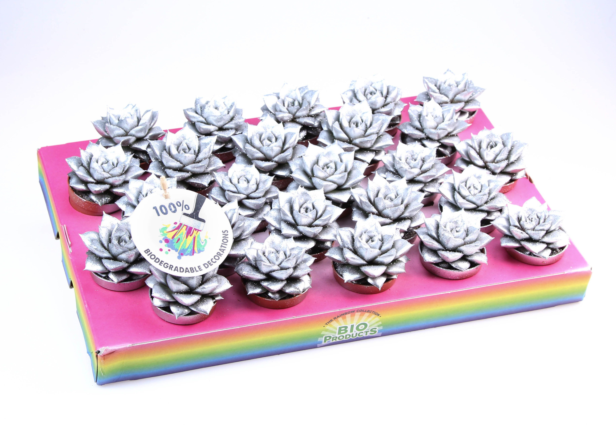 Bio purper silver glitter, D 5,5