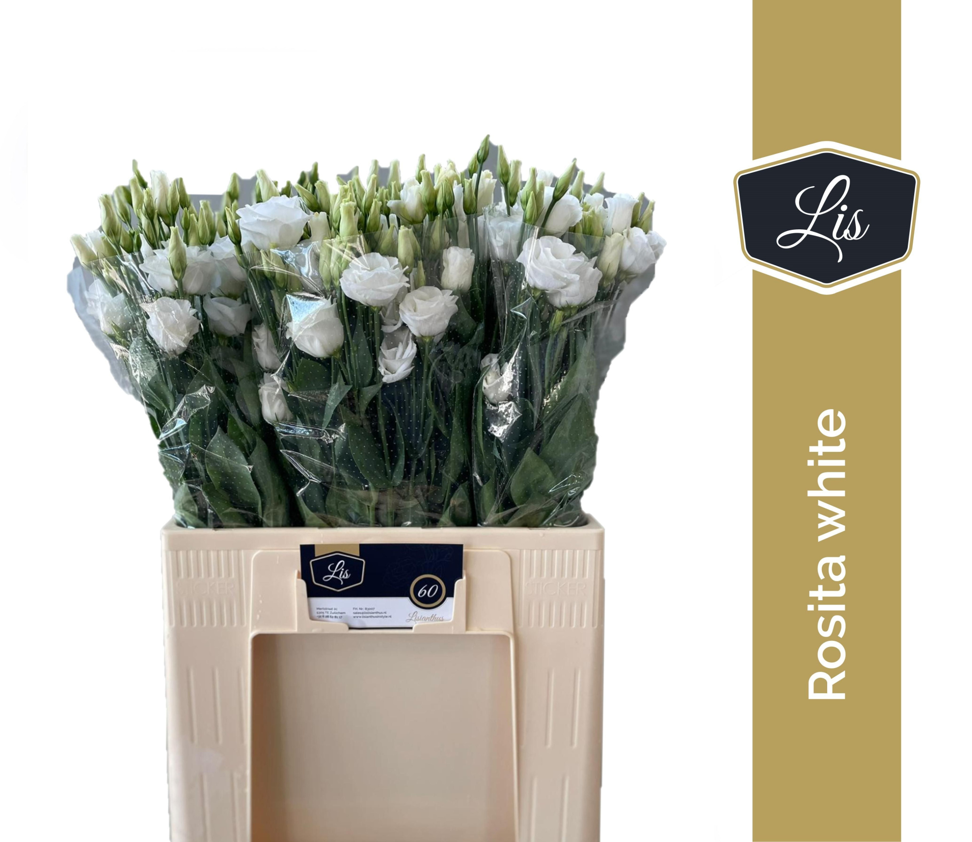 Эустома Розита Вайт 65 (бел.), шт.