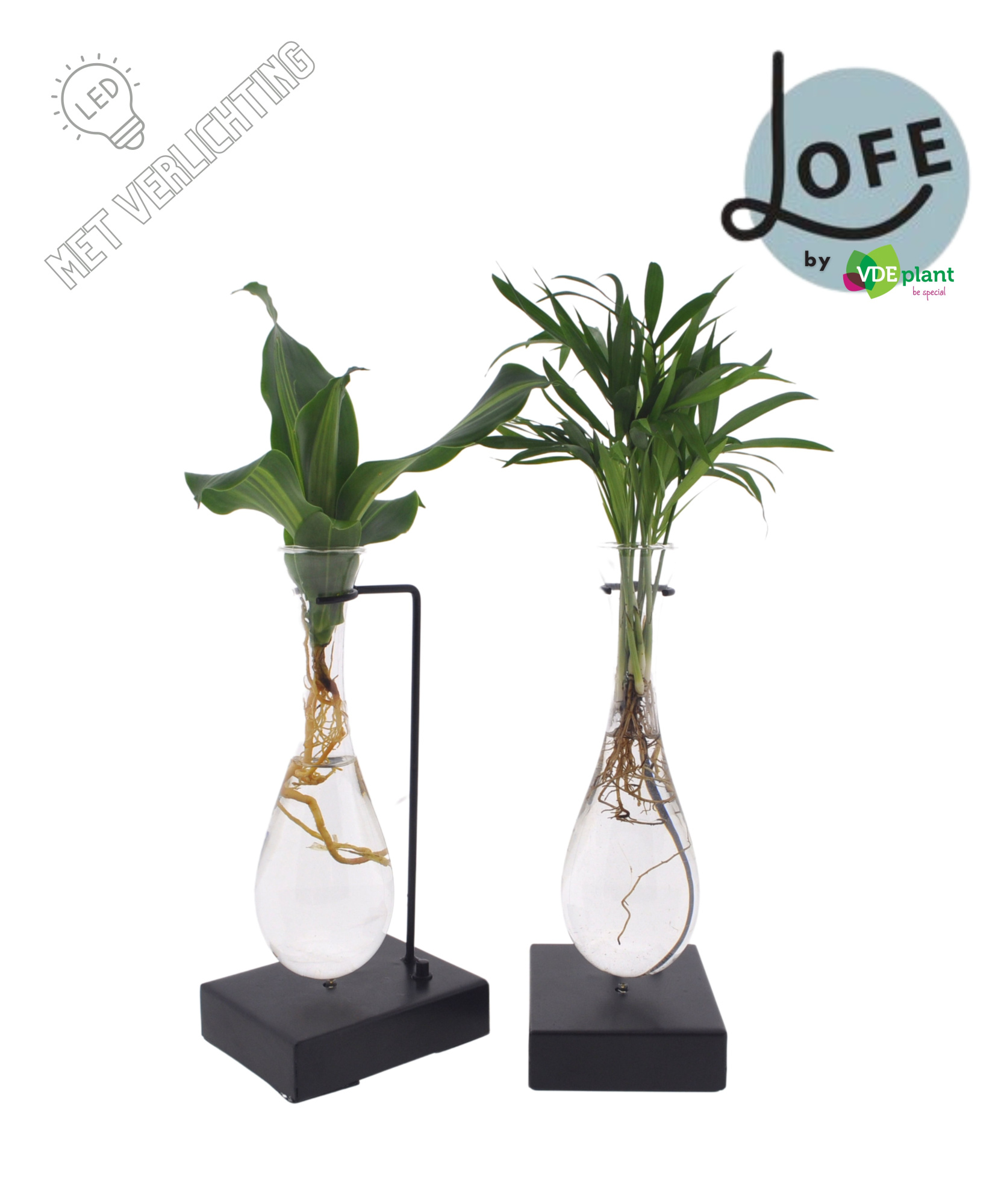 LOFE |Intenz mix in Hang glas Metaal - levertijd: 24 uur, D 12 cm