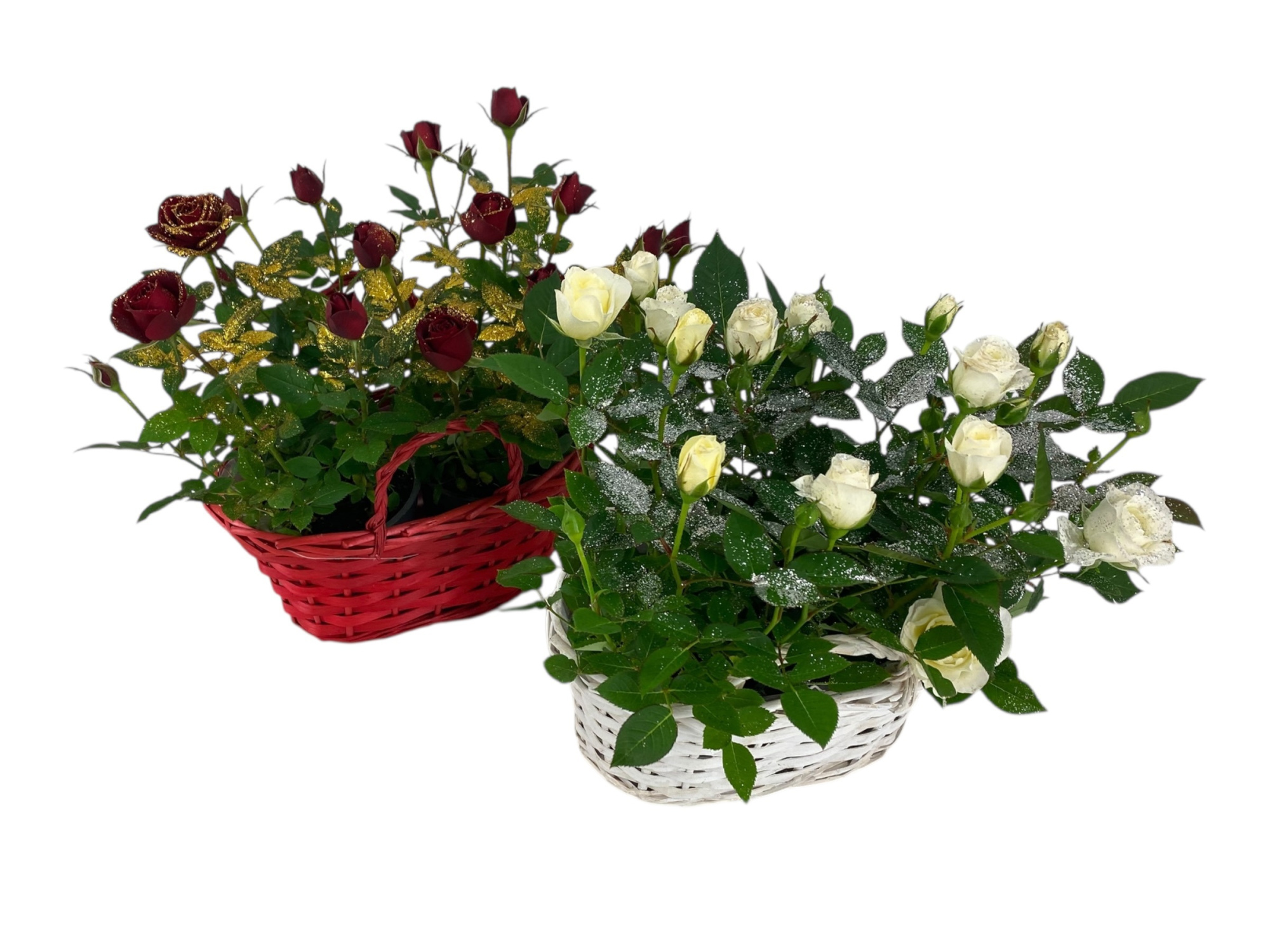 Roos 24 cm | Elize Mand | Rood/wit + glitter, D 23