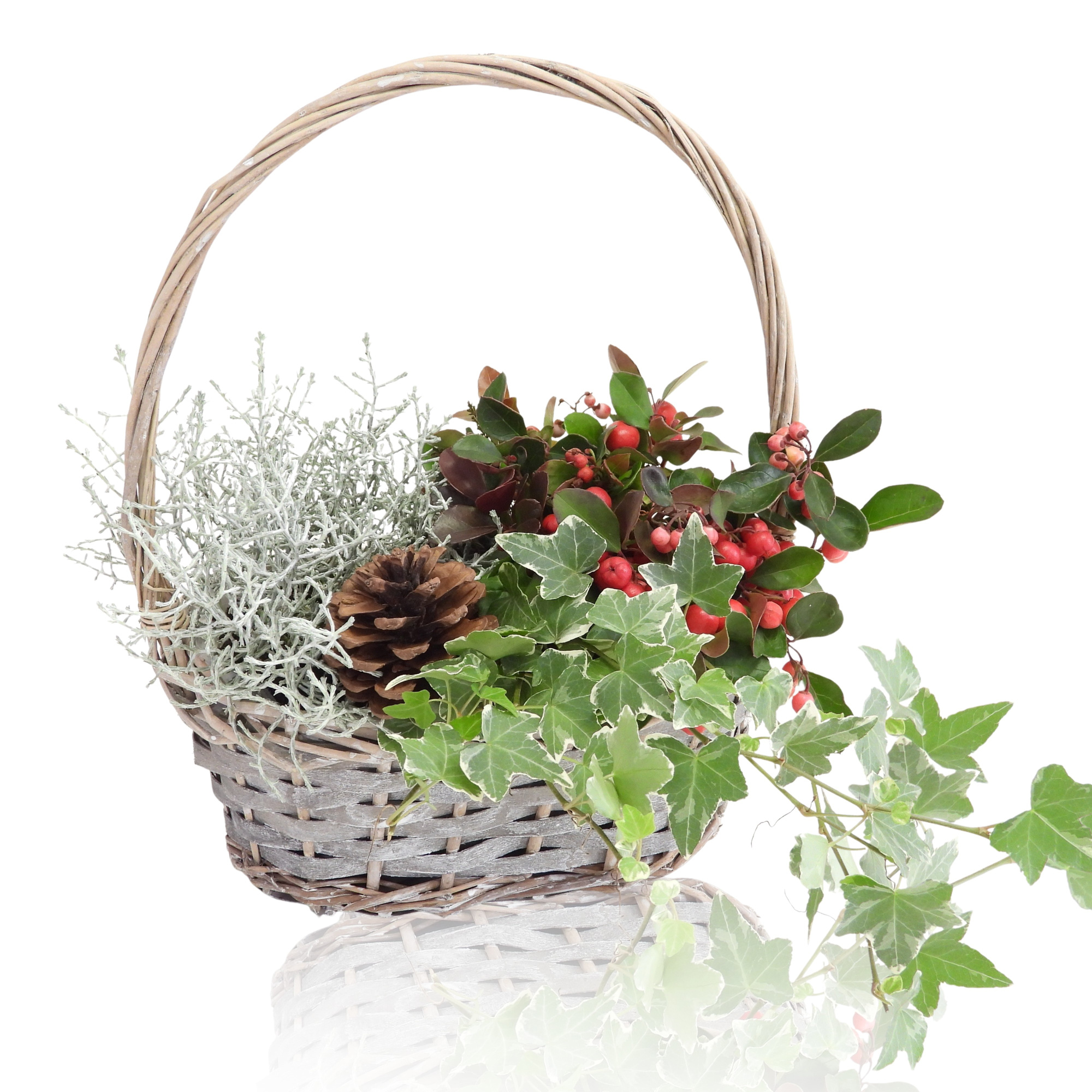 Arrangement Winter Specials in Mand Met Hengsel 20 cm, D 20