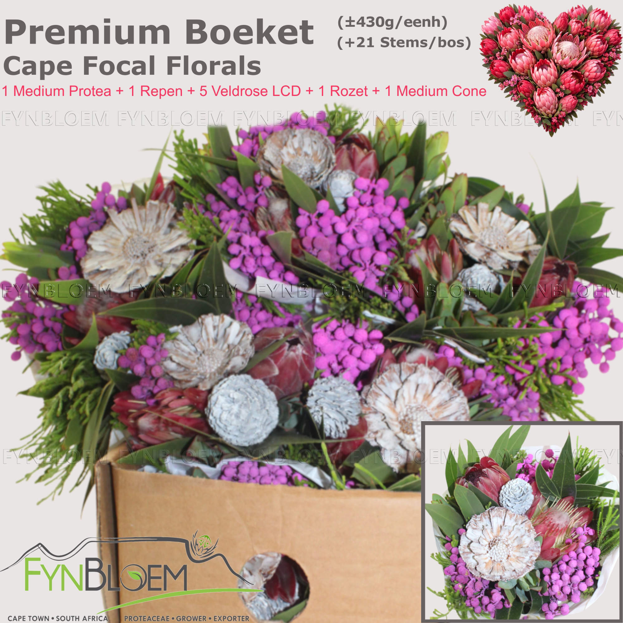 Протея Овериг за пучок 40, пуч.