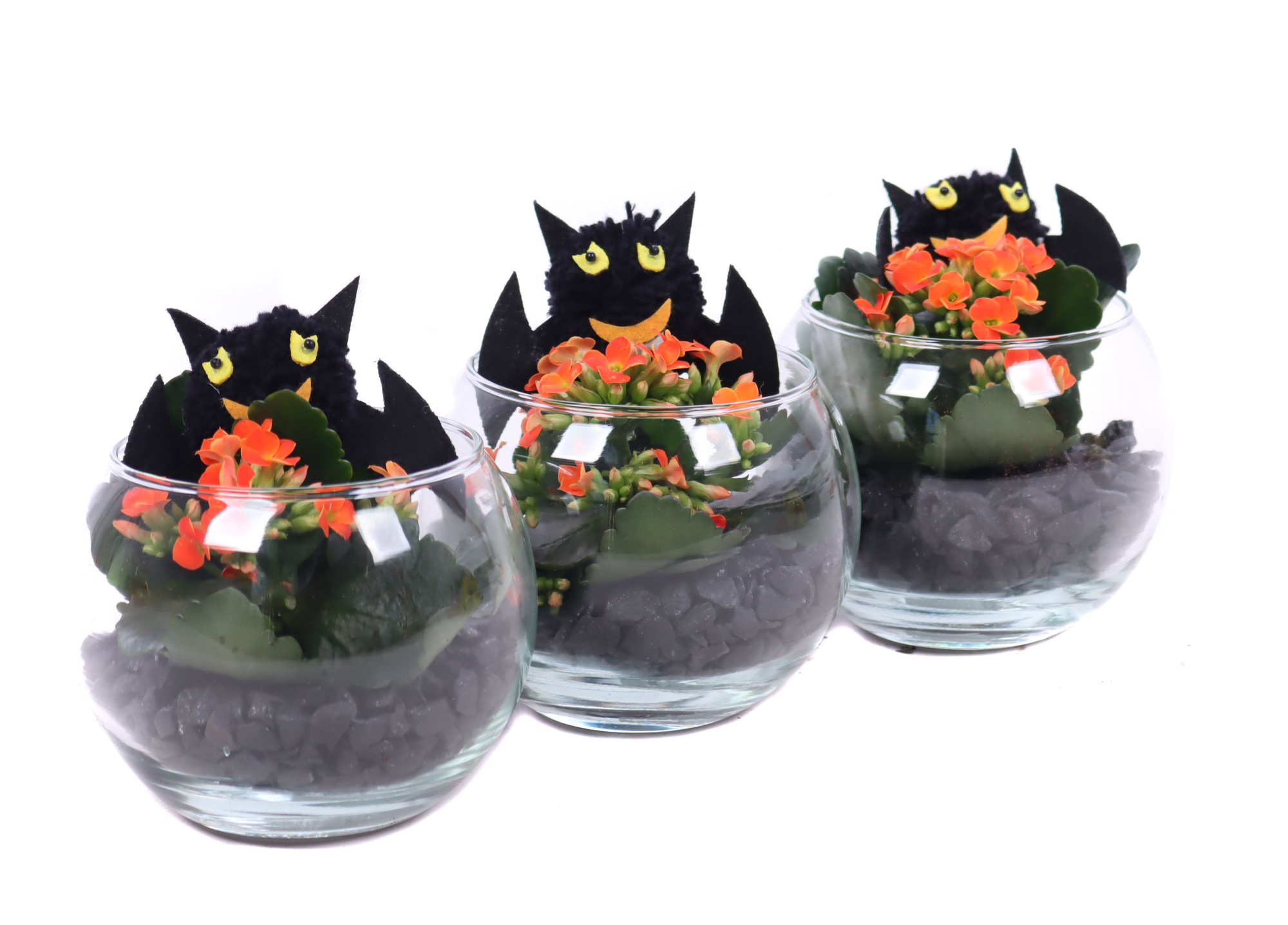 Kalanchoe oranje in bol glas , zwarte steentjes en vleermuis, D 12 cm