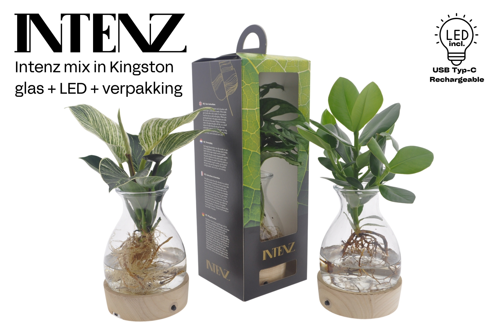 Intenz mix in Kingston glas + LED + verpakking - levertijd: 24 u, D 12