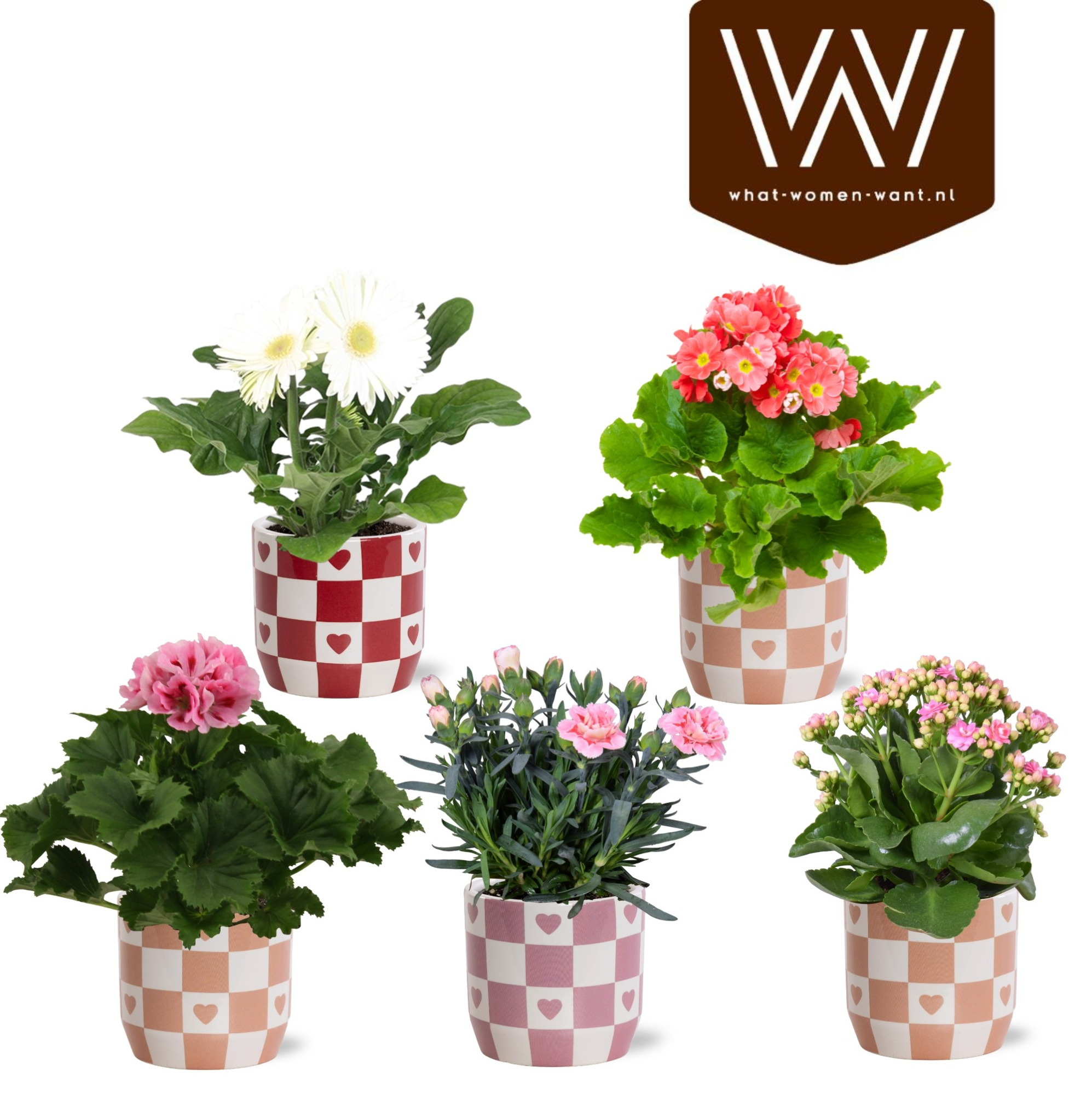 Bloeimix in Collectie 'Sympathetic Moods' Rosie keramiek, D 14