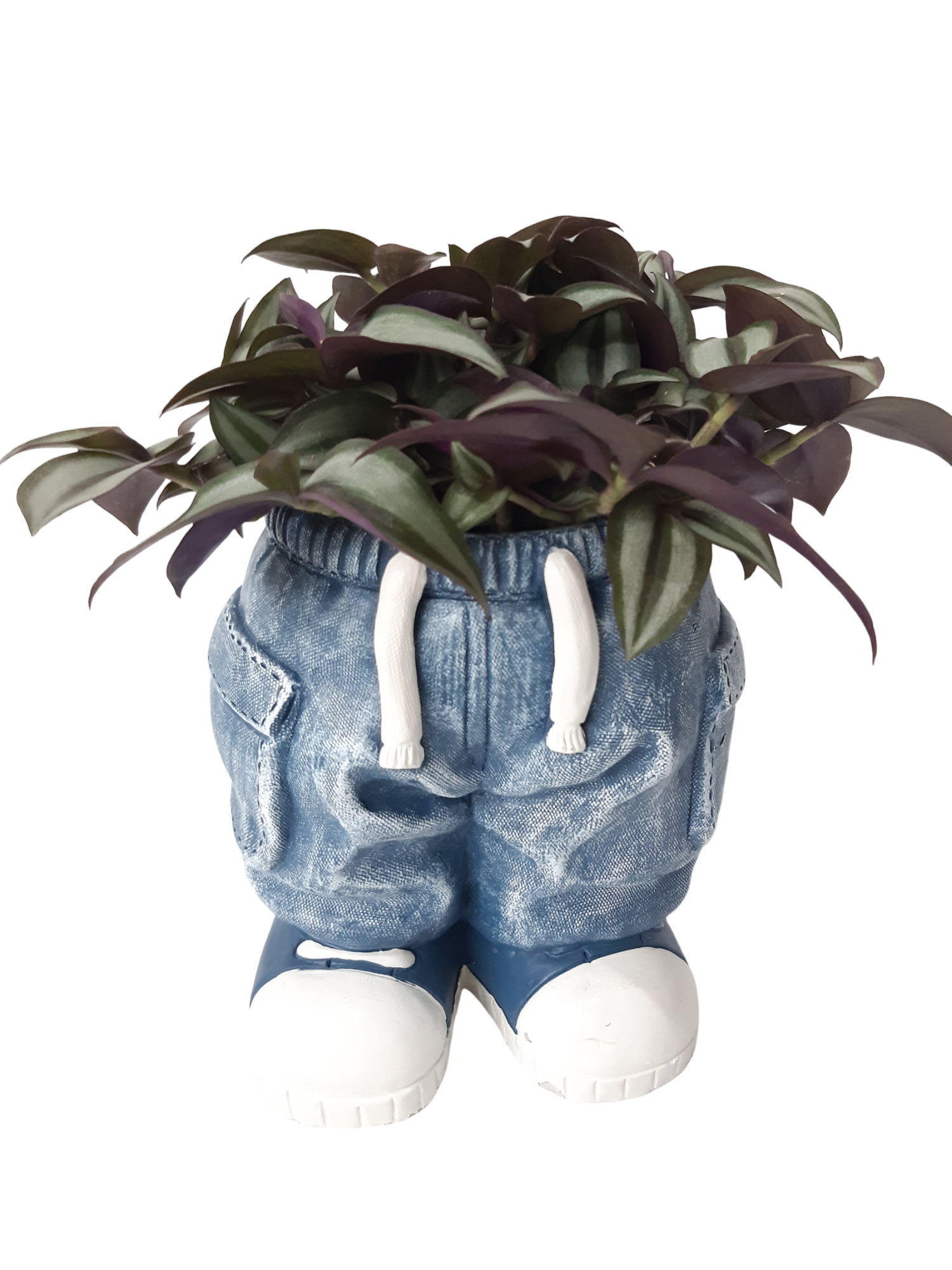 NEW 2026 JB17STD Jeans Standing 17cm Blue Tradescantia, D 17