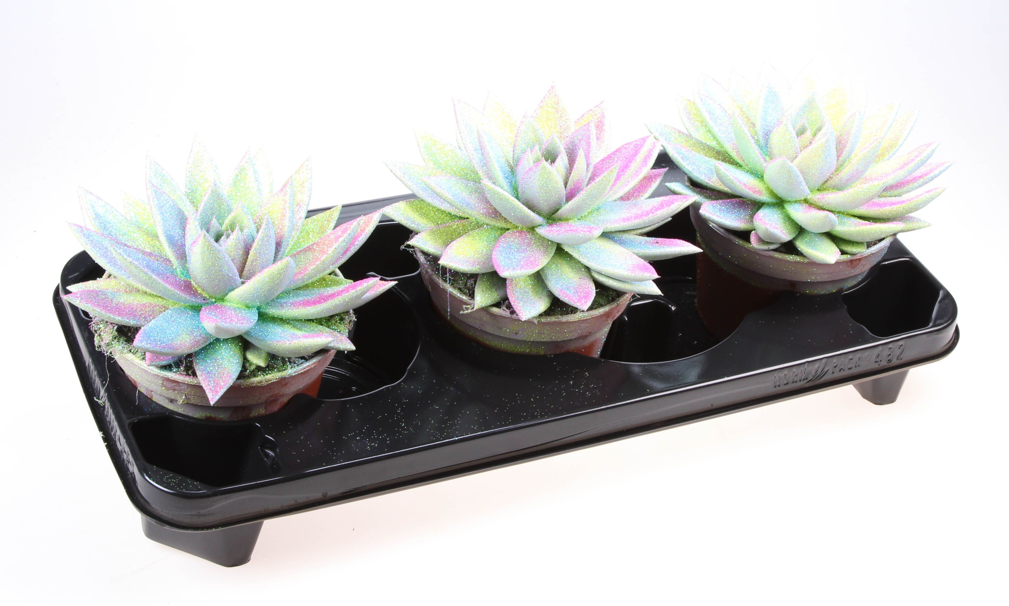 Miranda multi glitter mix, D 15