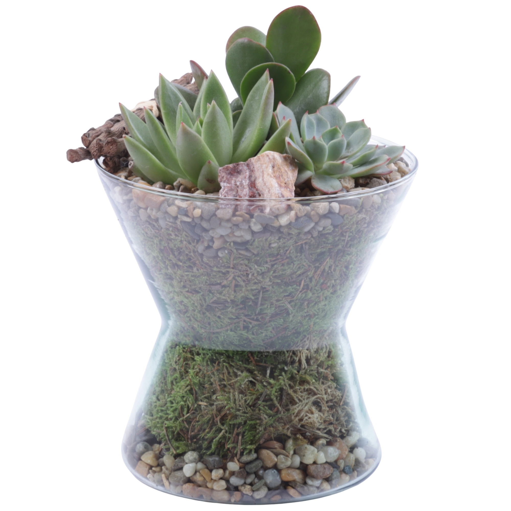 Yearround Arr. Succulent Glass Hourglass Ø16cm 3PP, D 16 cm