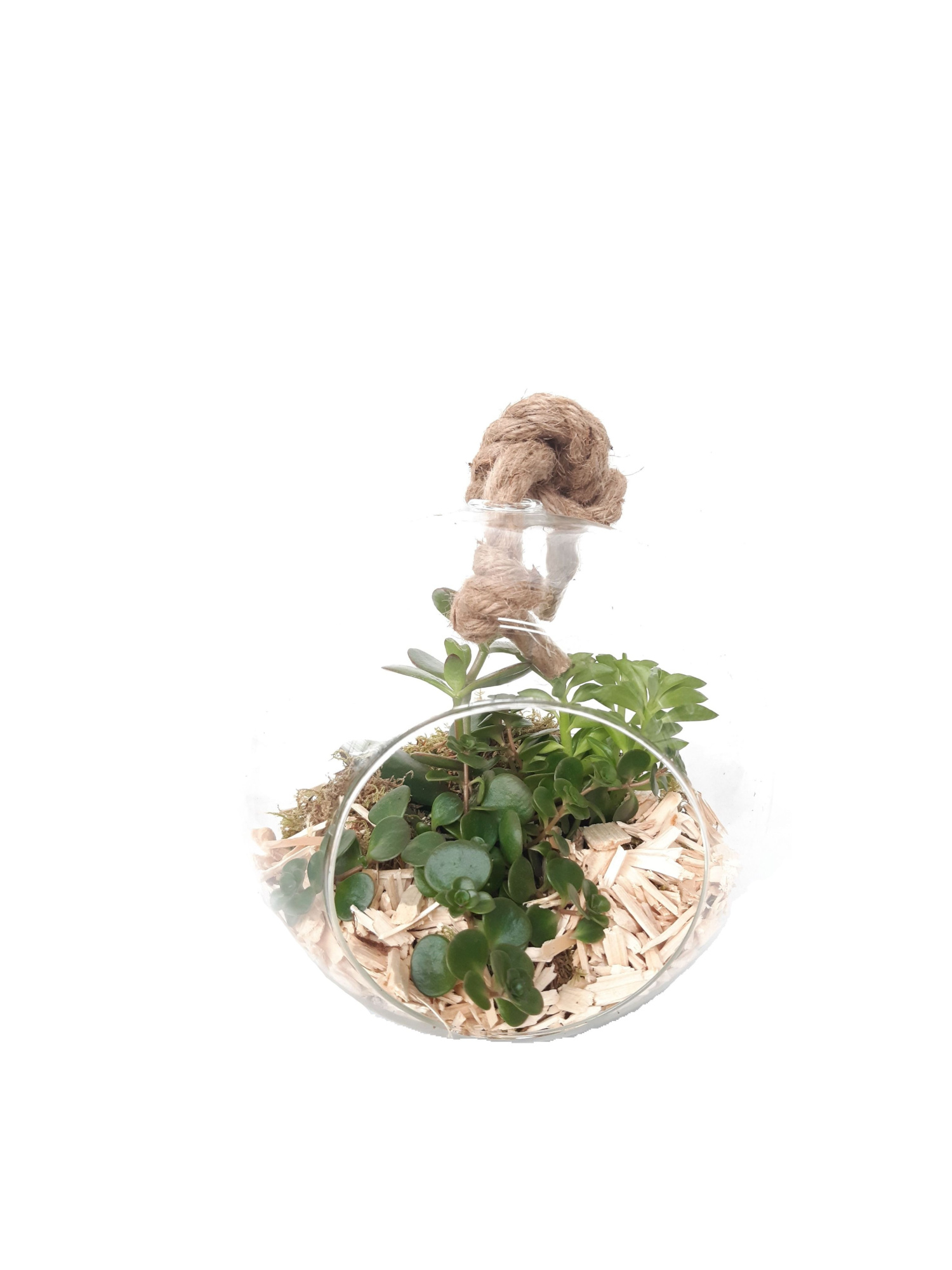 911NAT Bolglas + hangtouw mini groenmix, D 20 cm