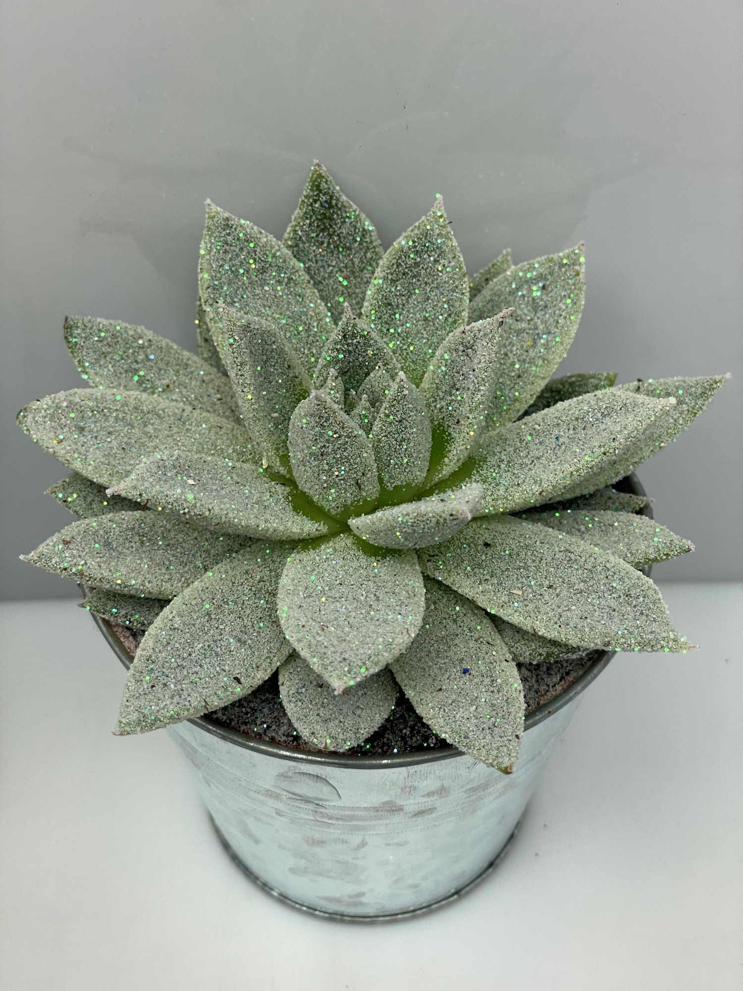 463kerstster BIO Twinkle glitter parelmoer zinkpot8,5cm, D 9,5 cm