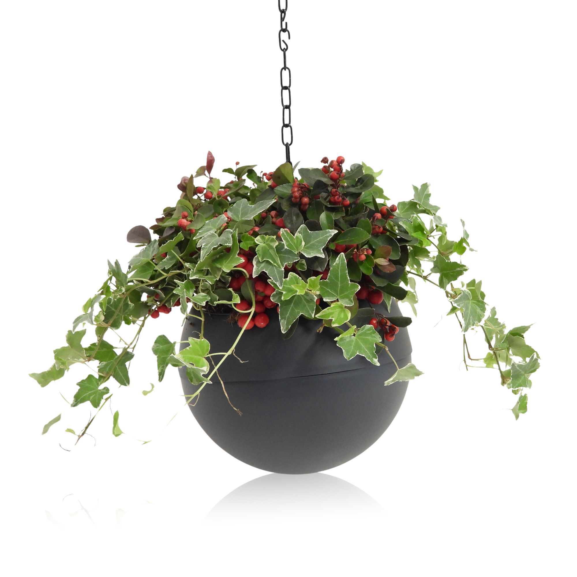 Arrangement Winter Specials in Globee 20 cm Hangpot, D 20