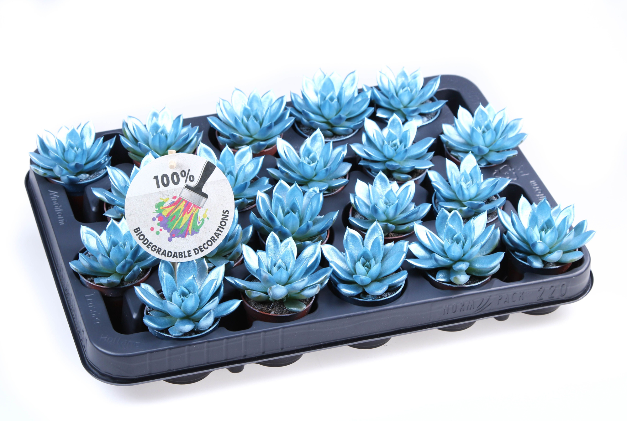 Rainbow metallic blue, D 5,5 cm