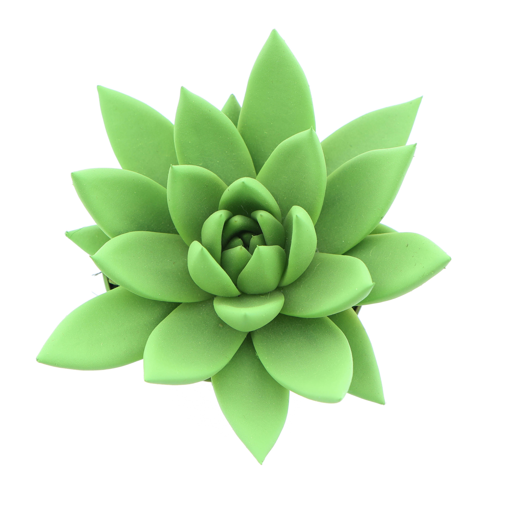 Rainbow bright green, D 8,5