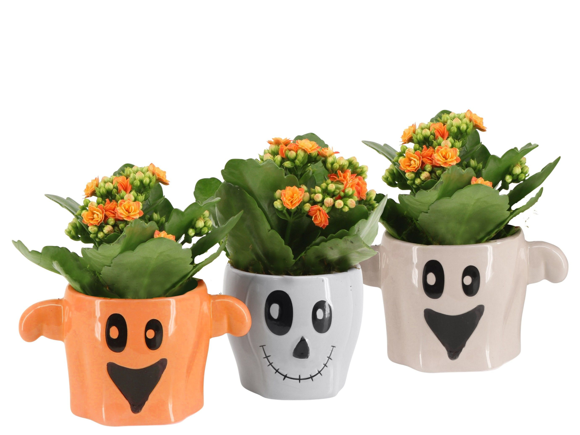 4501113: Solutionss Halloween, D 7 cm