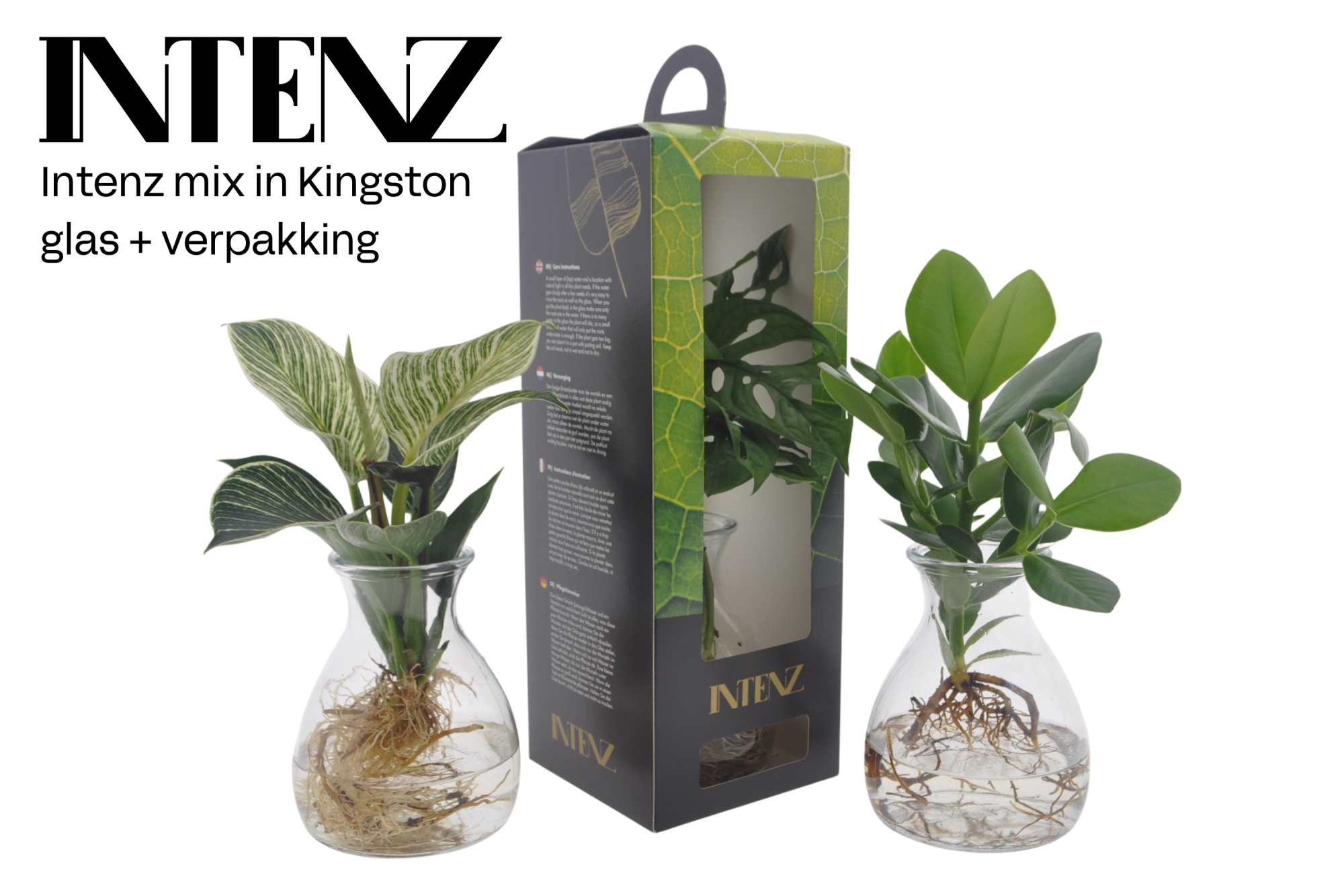 Intenz mix in Kingston glas + verpakking - levertijd: 24 uur, D 12