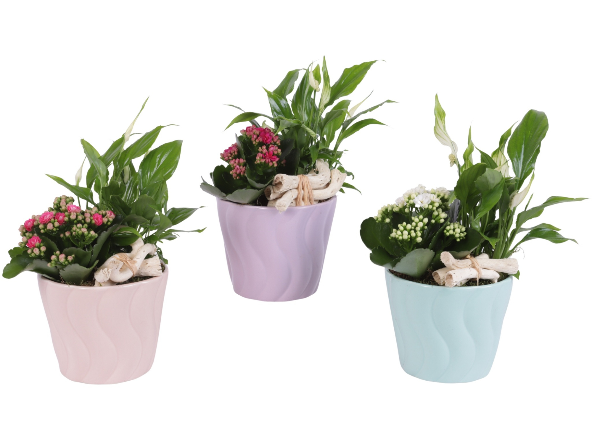 Yearround Arr. Indoor Ceramic Soft Elegance SE662 Ø14cm 2PP, D 14