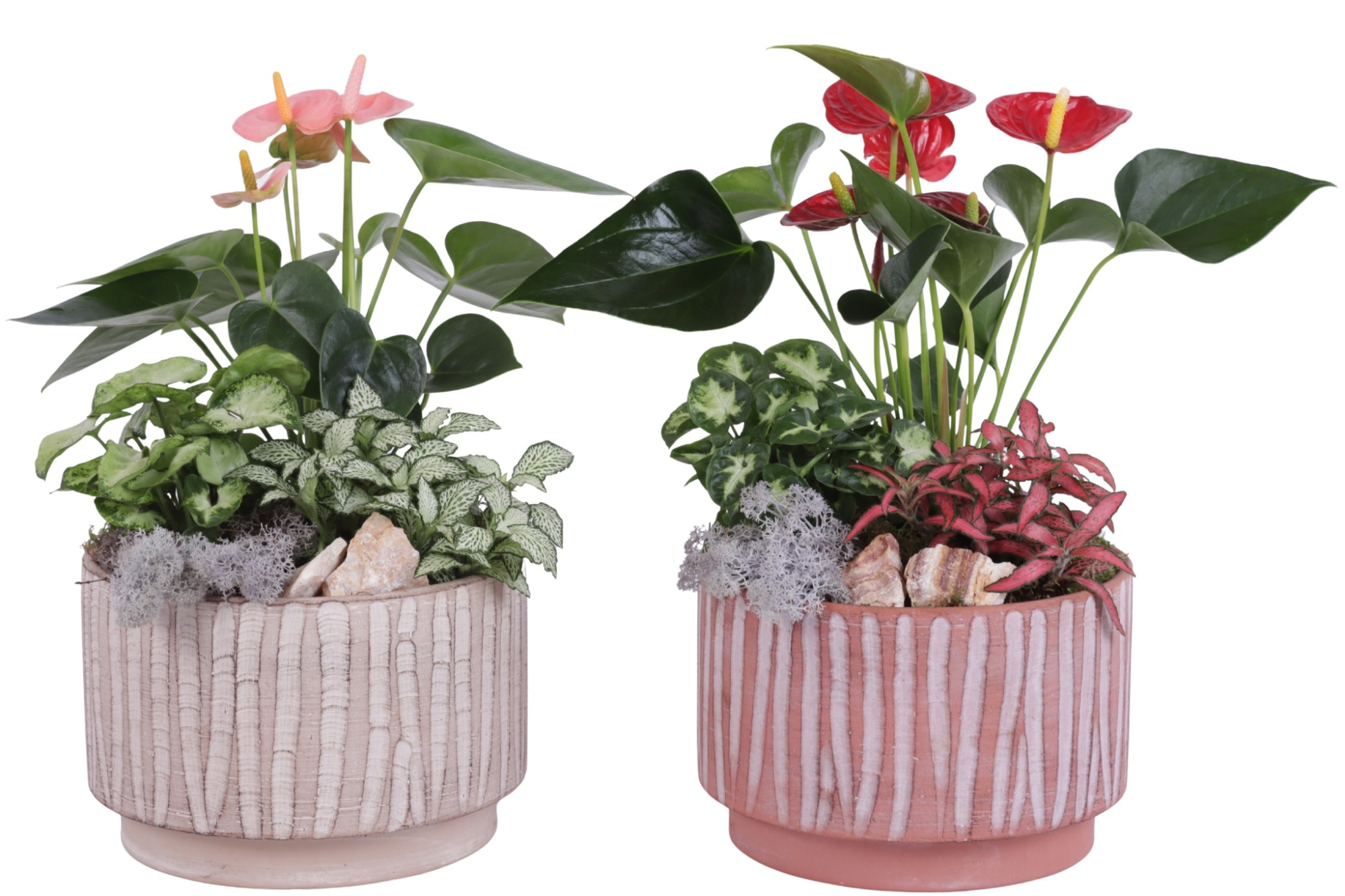 Yearround Arr. Indoor Ceramic Natural Touch NT667 Ø20cm 3PP, D 20