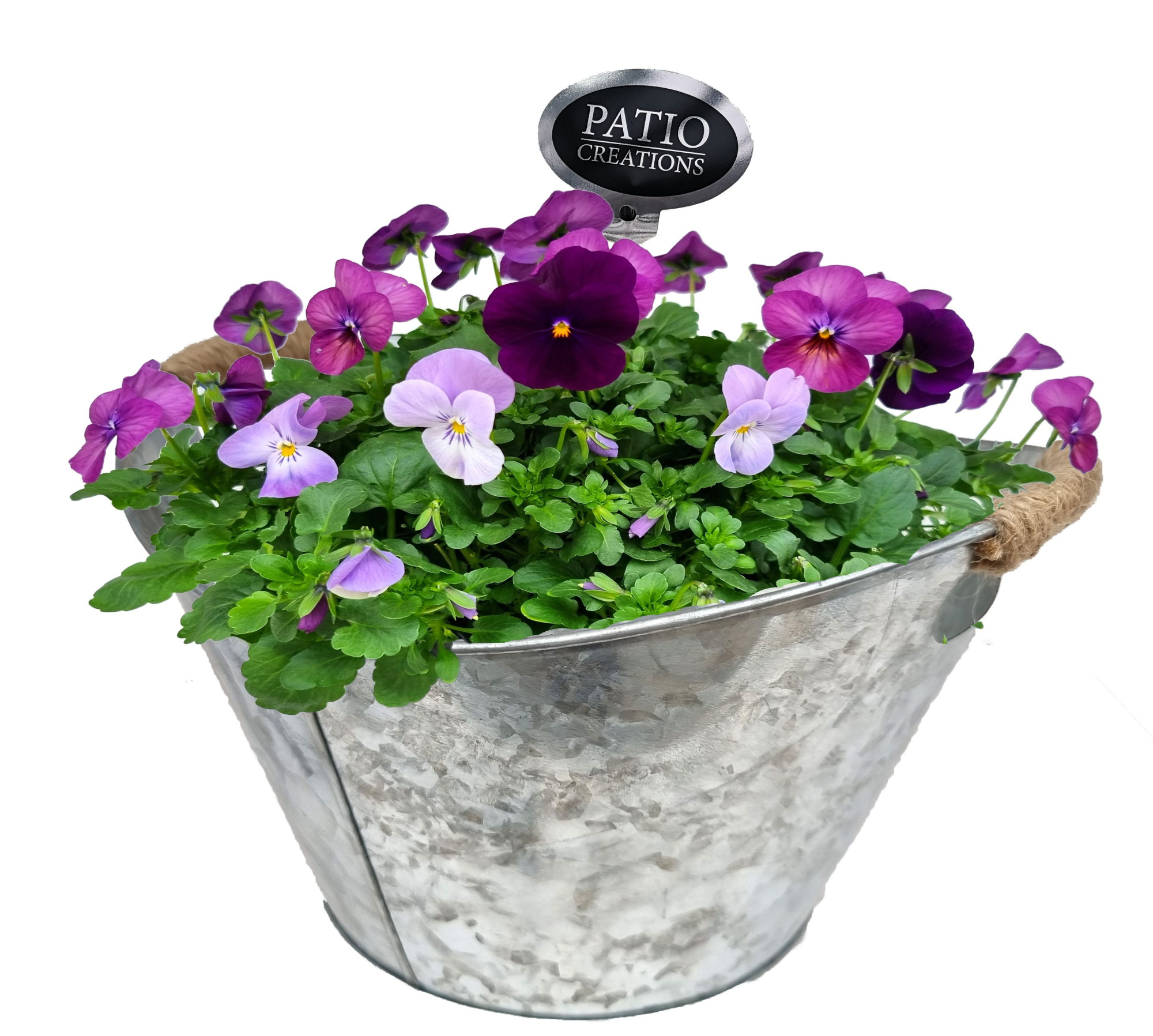 V811-9323 Viola zink handvat touw, D 23