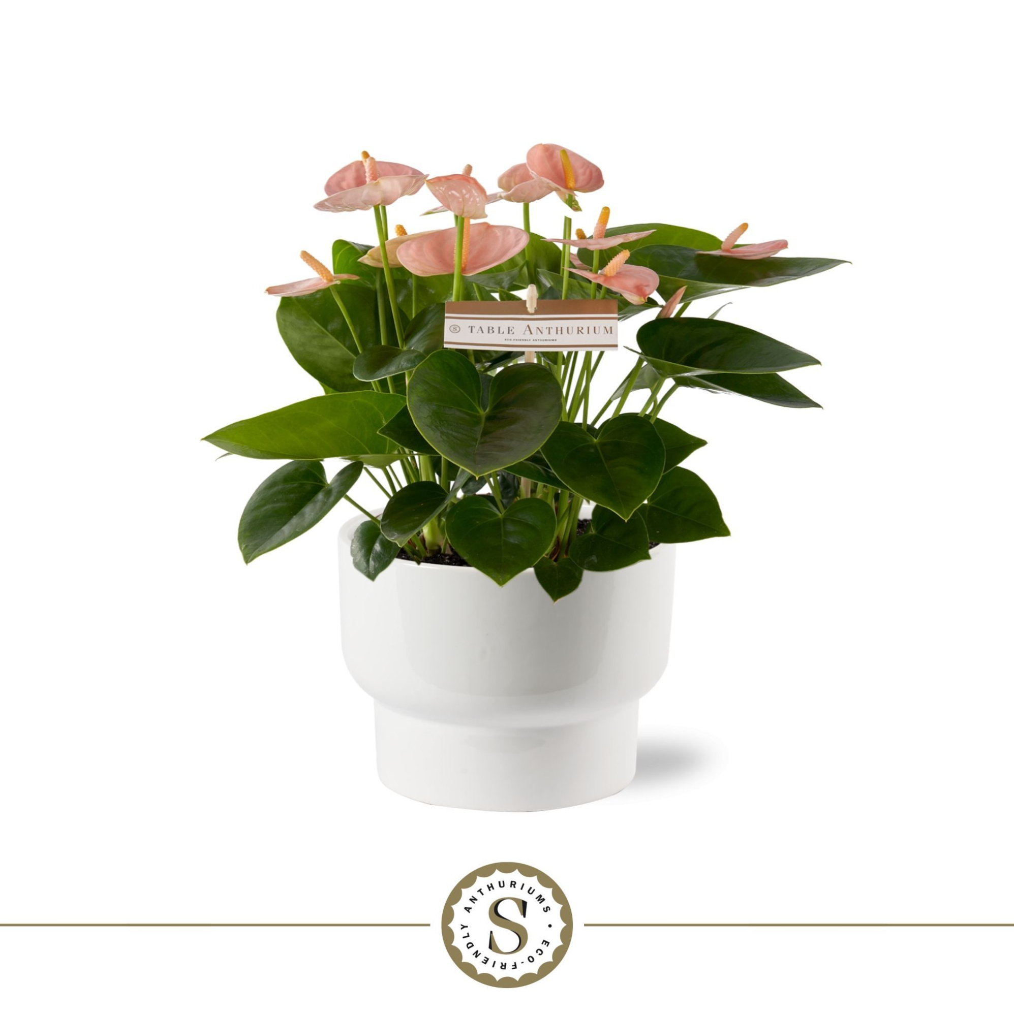 Athene Keramiek White - Spirit, D 17 cm