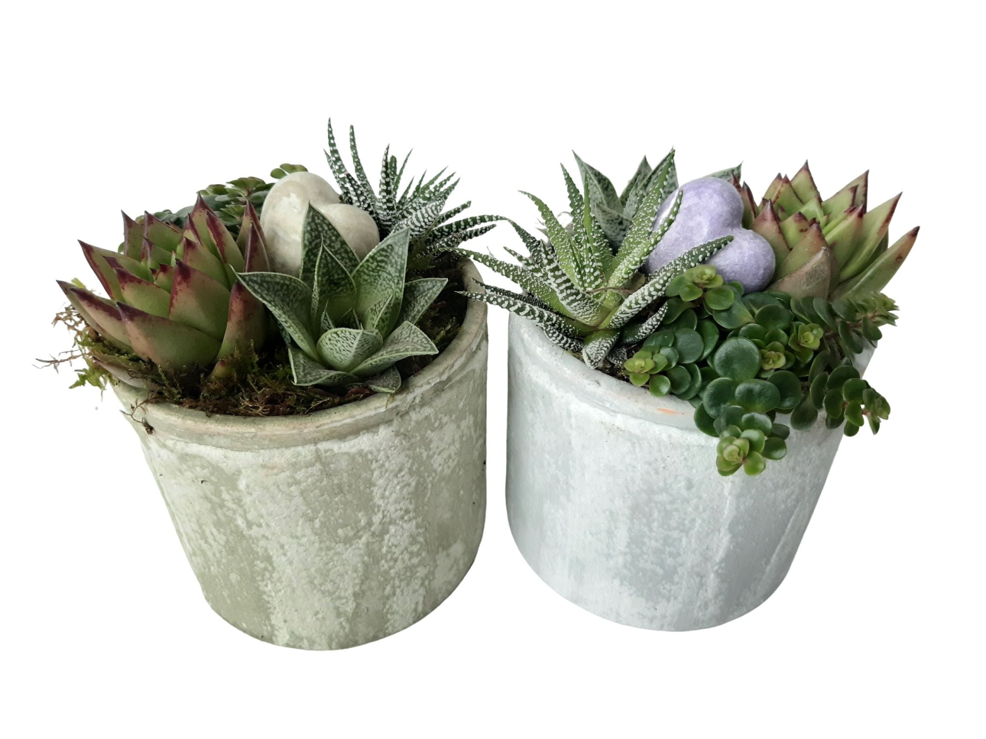 PP14GMXHRT Planter Pot Keramiek 14cm mini plant mix Aroma Heart, D 14 cm