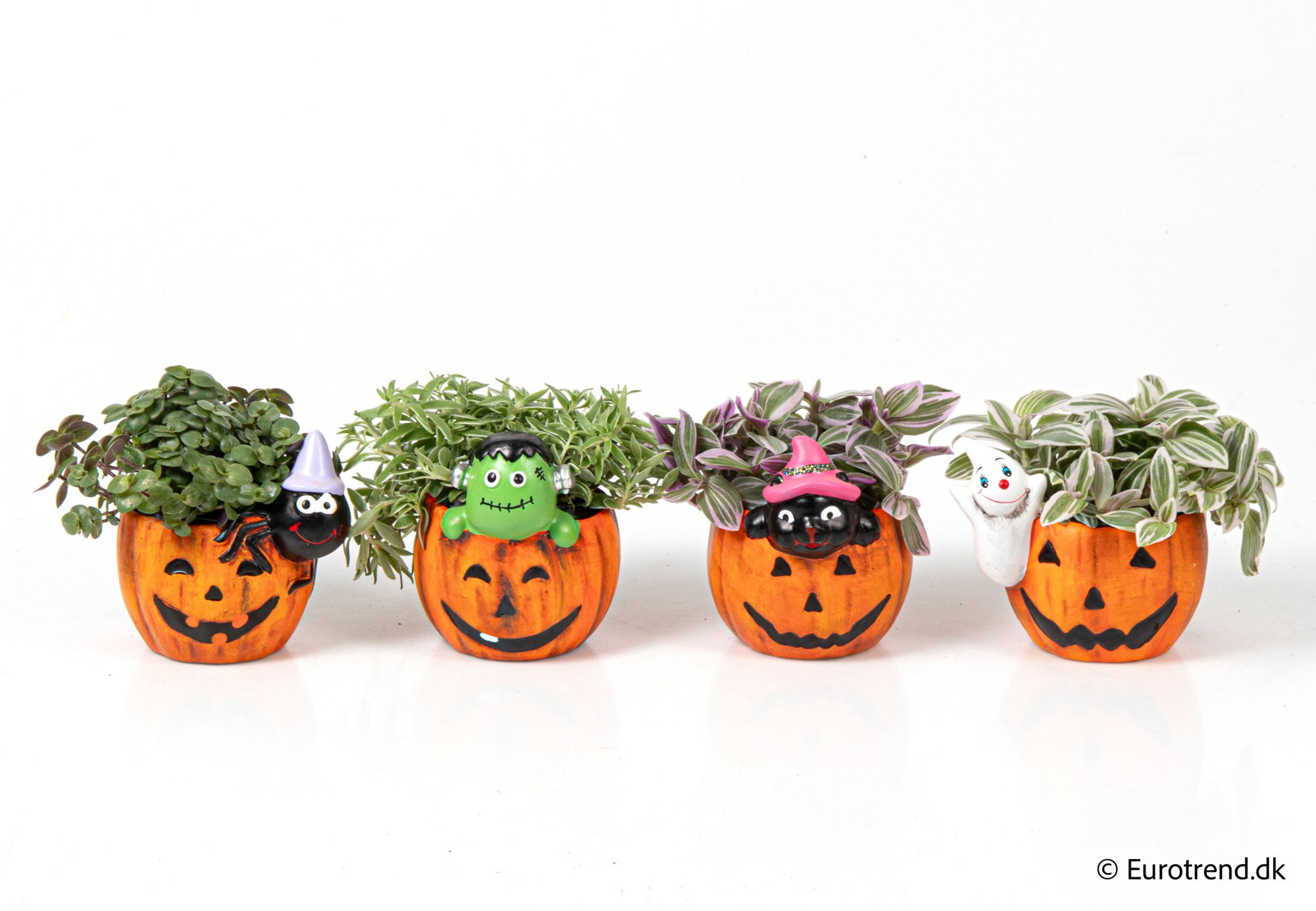 Green Mix in Halloween ceramic 2025, D 6 cm