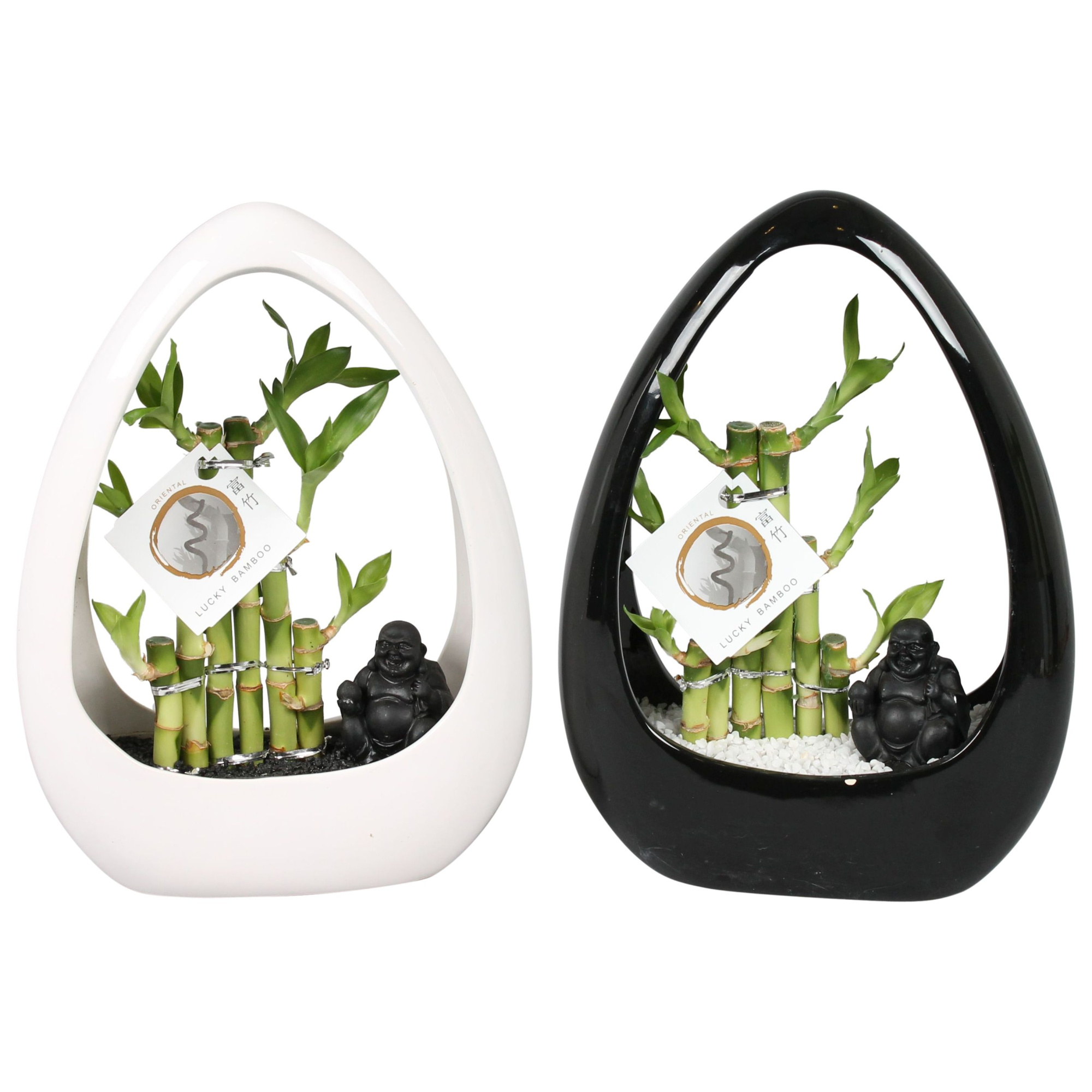 Lucky Bamboo Stepstair 3Big in ø23cm Ikebana Ceramic Black/White, D 23