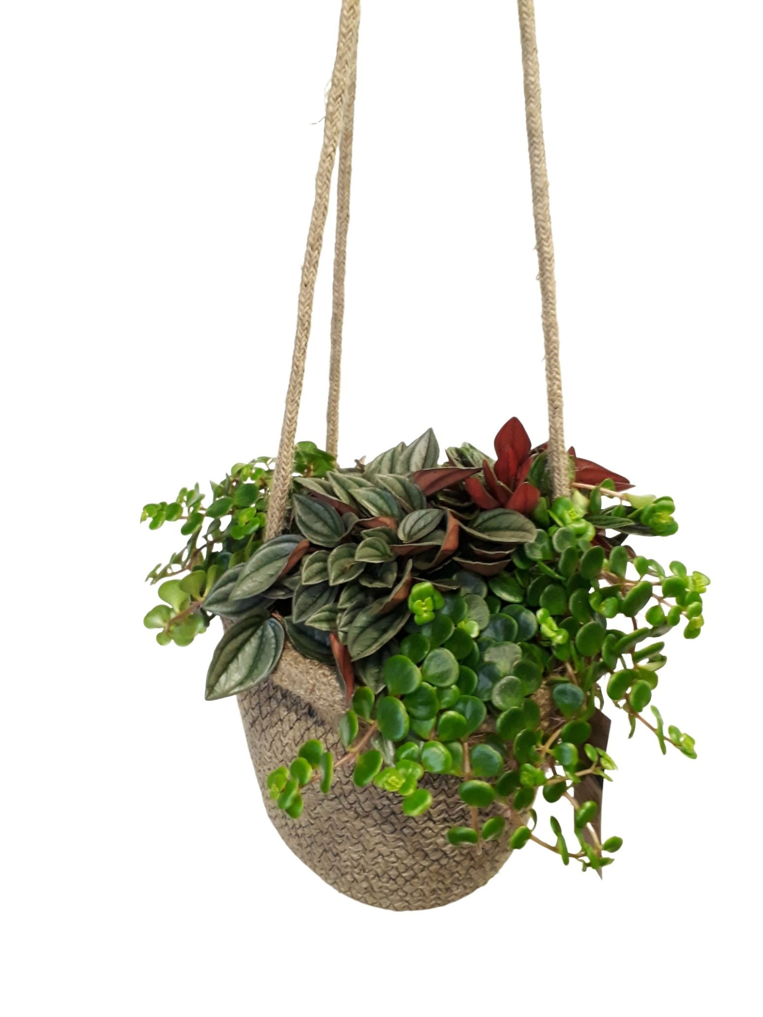 JH21MIX Jute hangmand Groenmix, D 21 cm