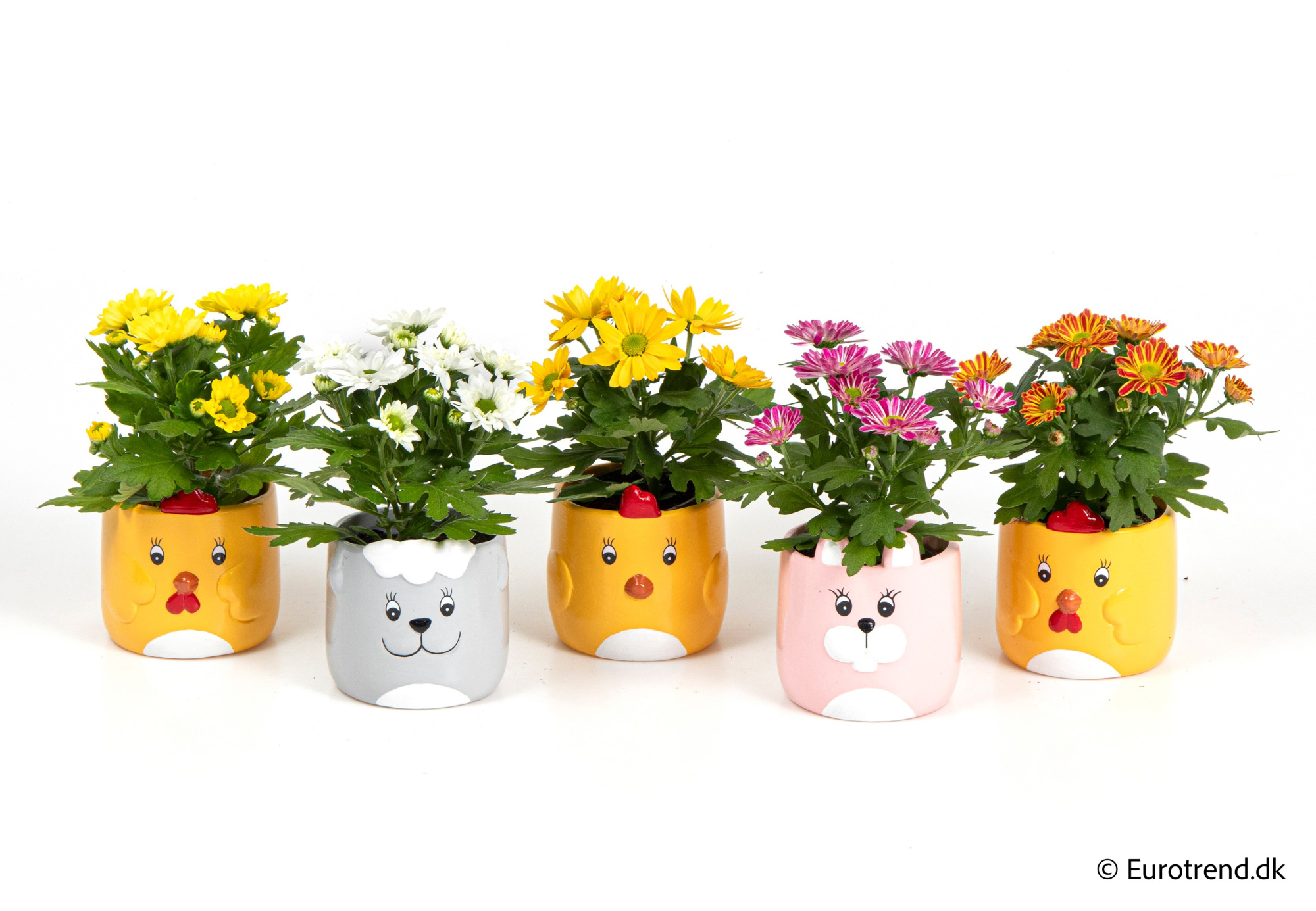 Chysanthemum in Easter ceramic 2026, D 6