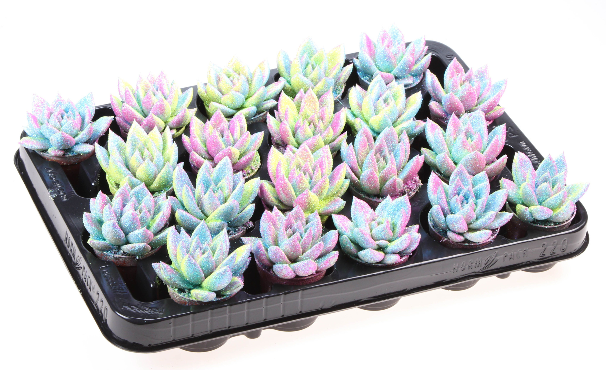 Miranda multi glitter mix, D 5,5