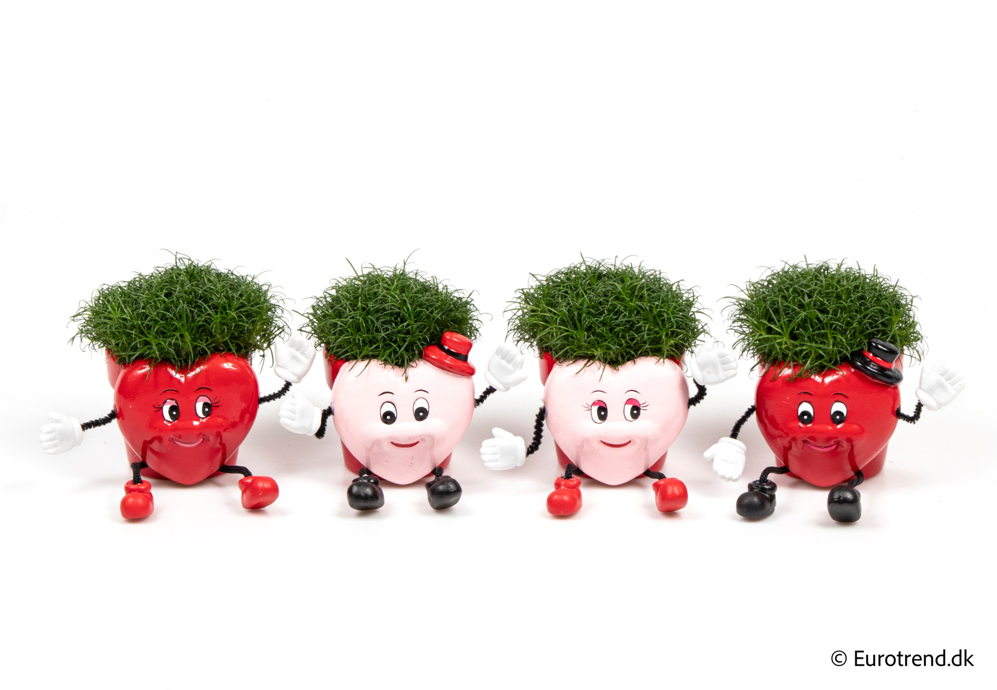 Sagina in Valentine ceramic 2026, D 6