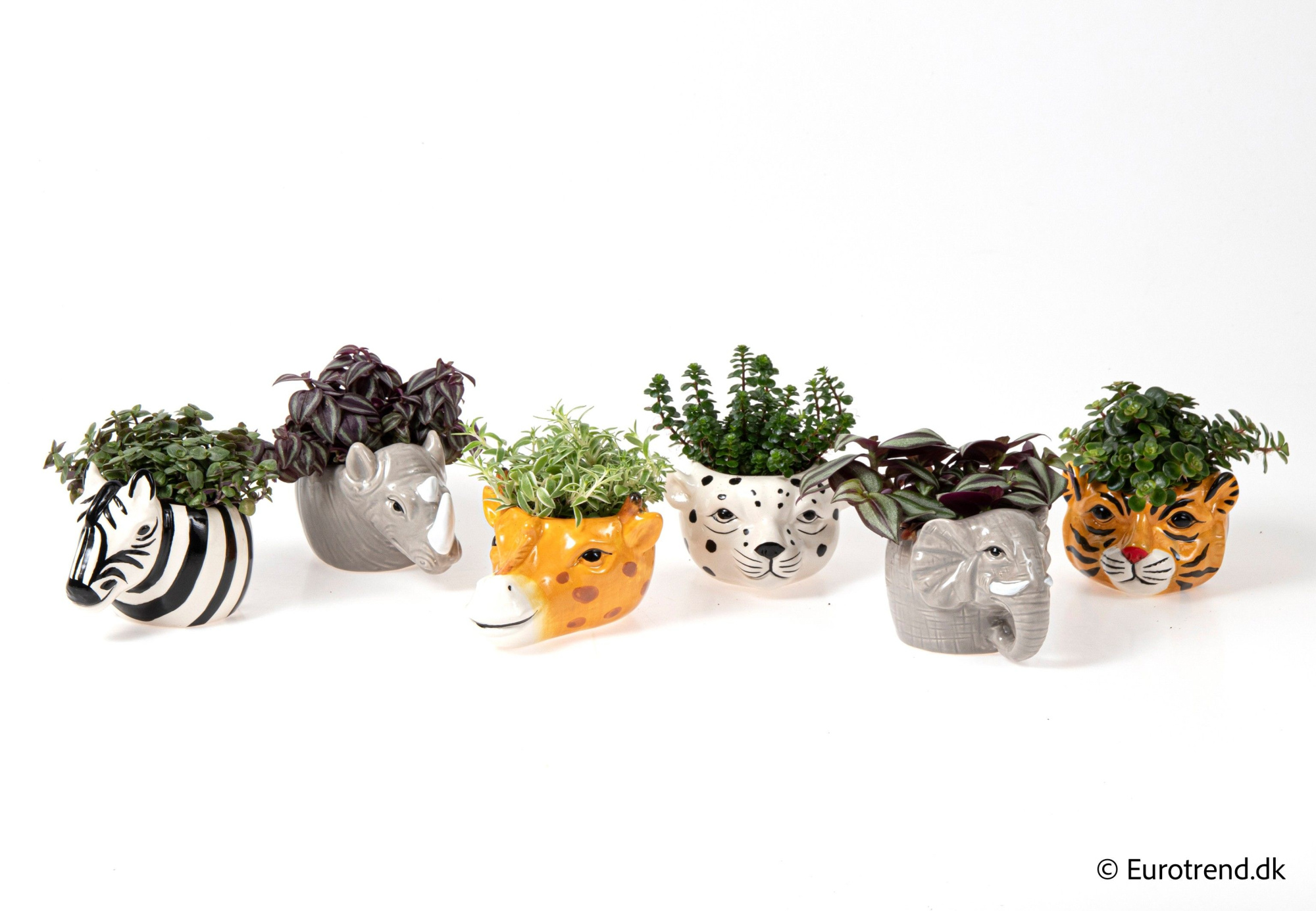 Green mix in ceramic animal - Spring, Summer & Autumn 2025, D 6 cm