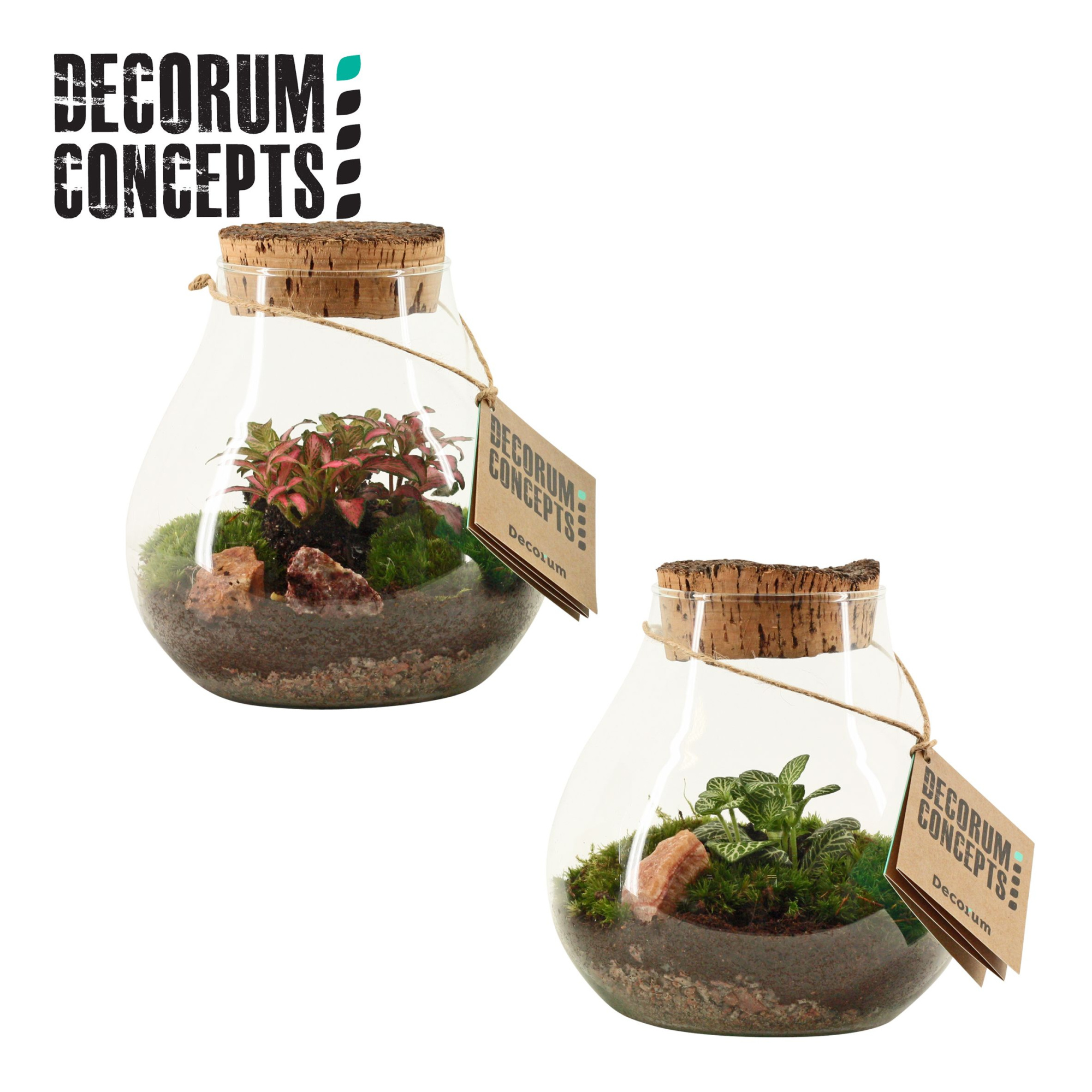 Terrarium Halley (Decorum concepts), D 16 cm