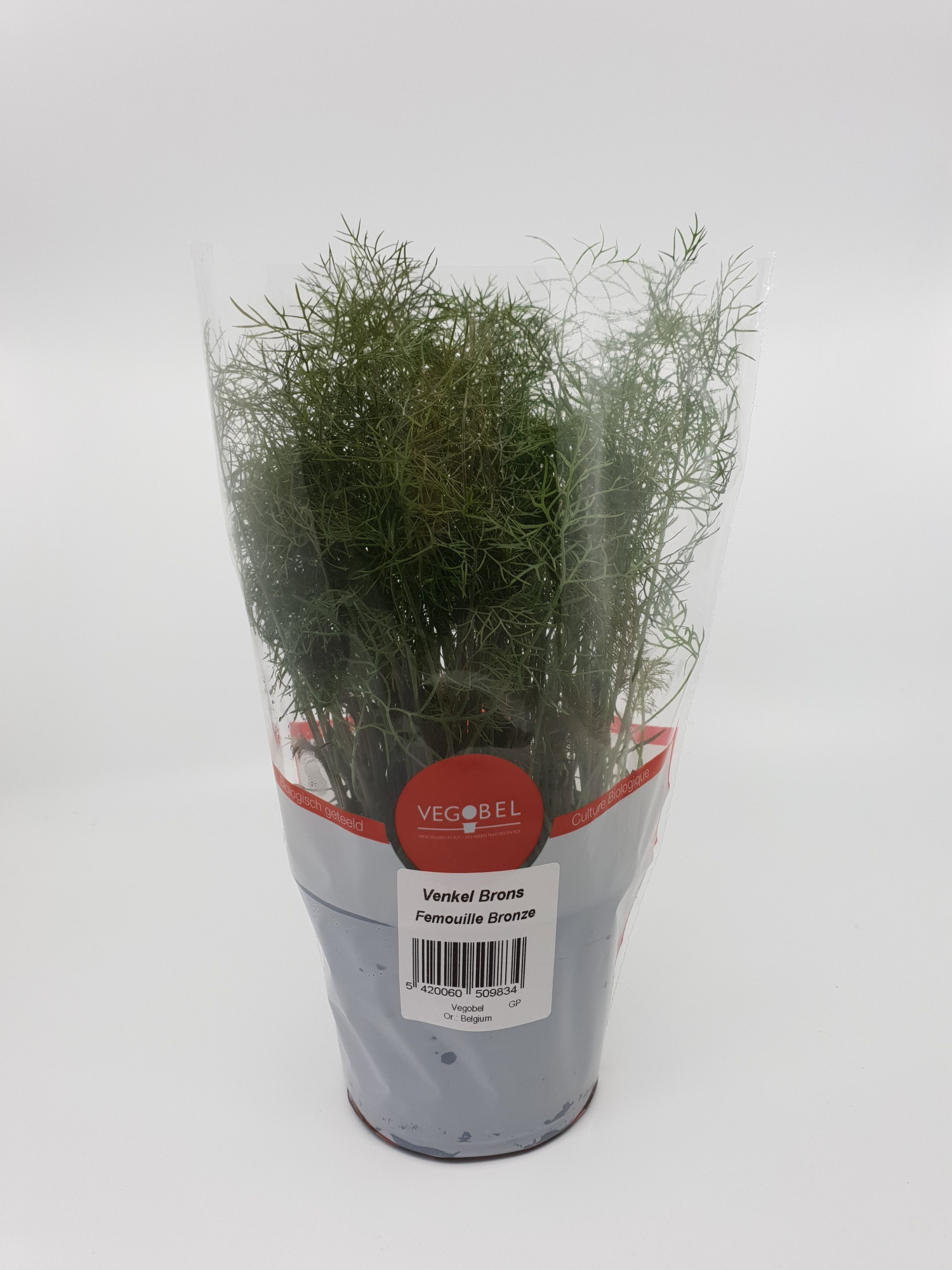 Bronsvenkel P12, D 12 cm