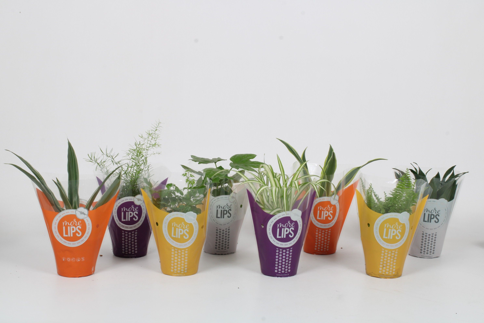 Groen Mix 12cm - Classic - More Lips hoes, D 12 cm