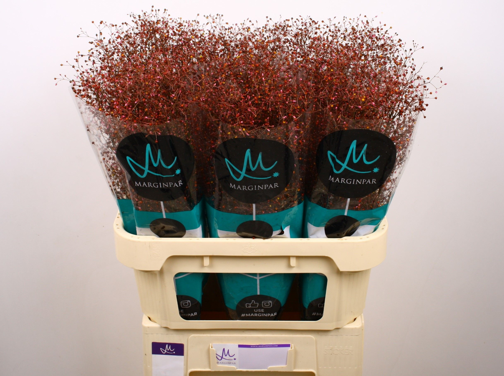 Талинум Лонг Джон 80, шт.