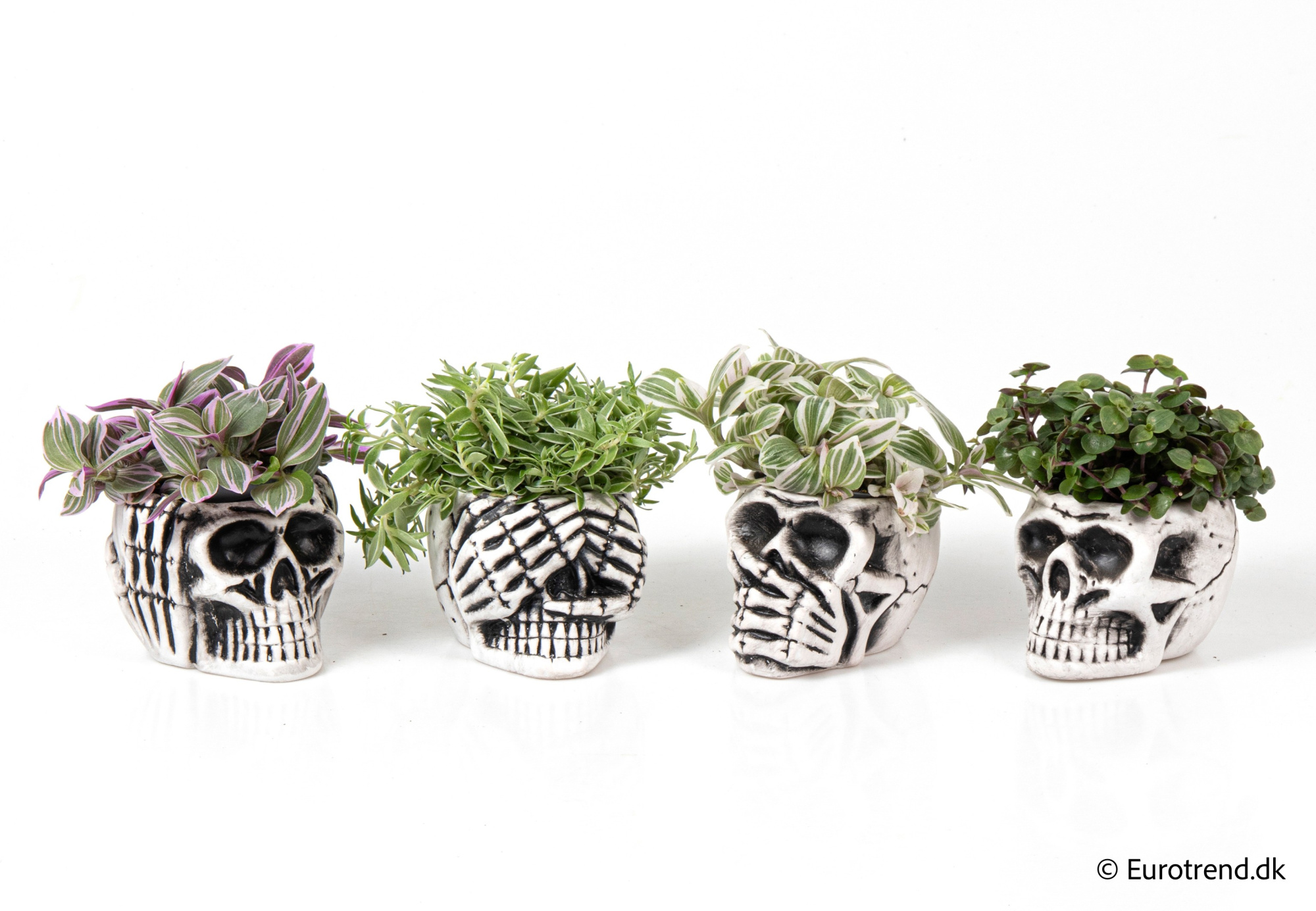 Green Mix in Halloween ceramic 2025, D 6 cm