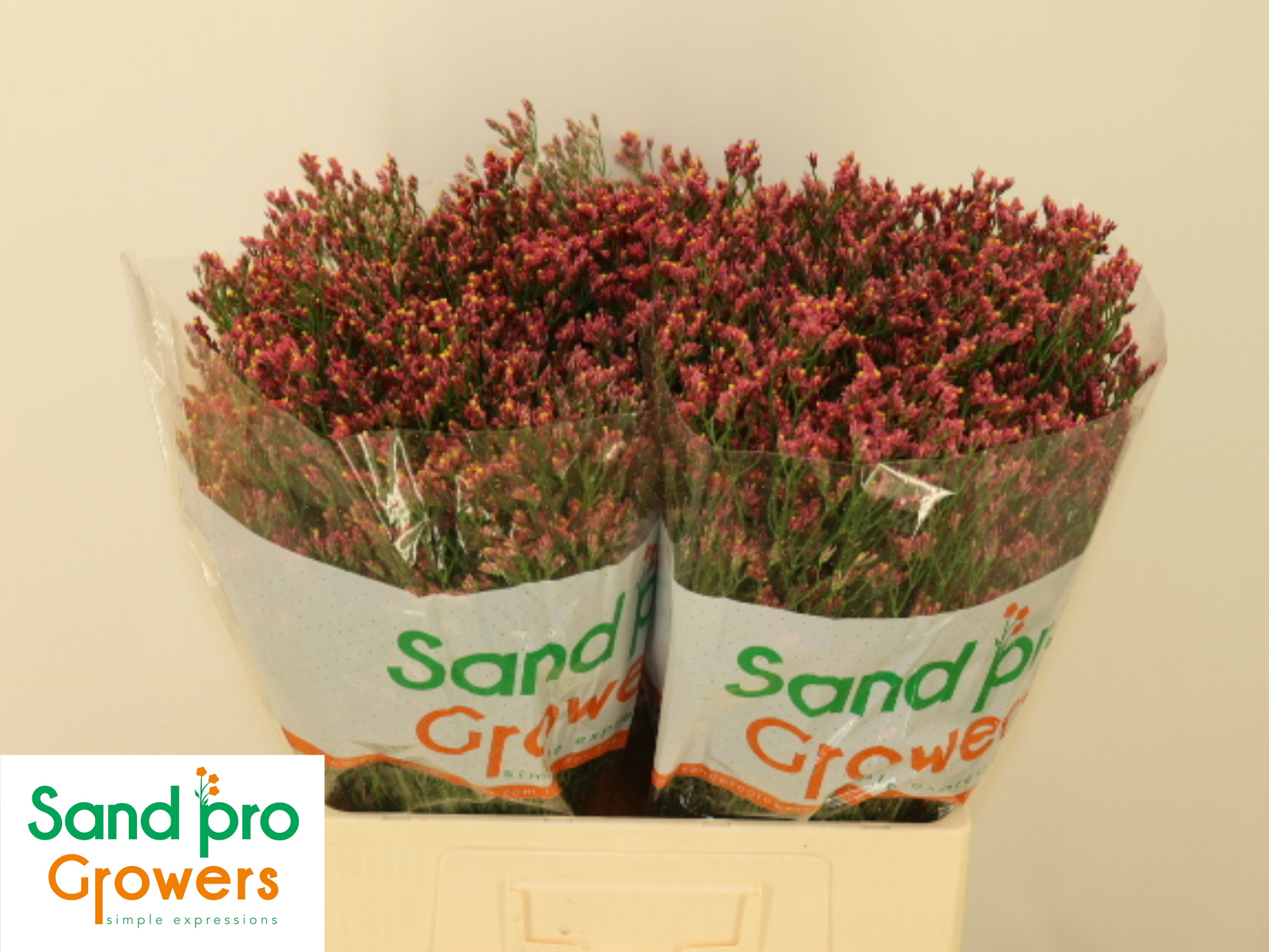 Лимониум Макс Даймонд 60, шт.