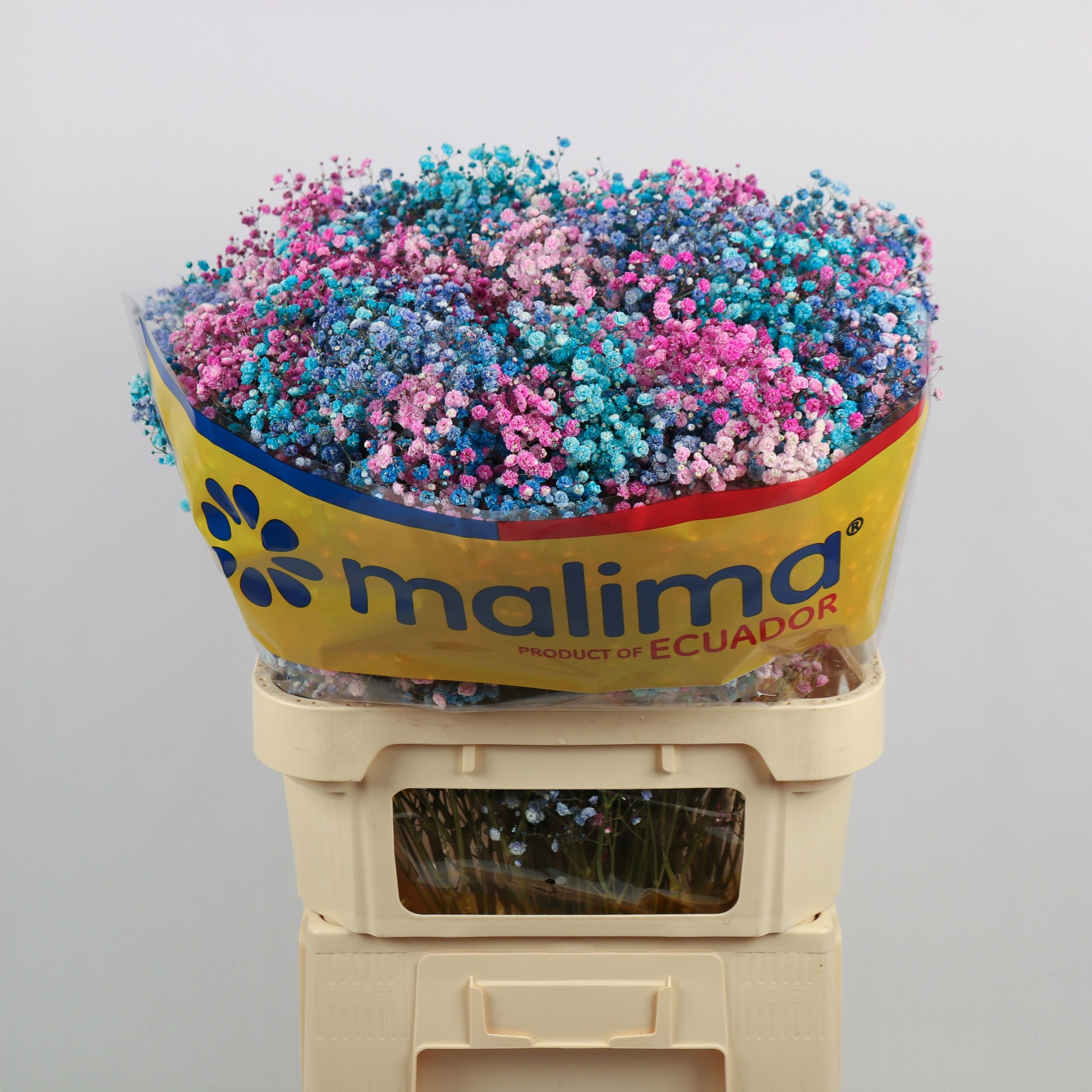 Гипсофила Овериг Крашеная (краш. ) 75, шт.