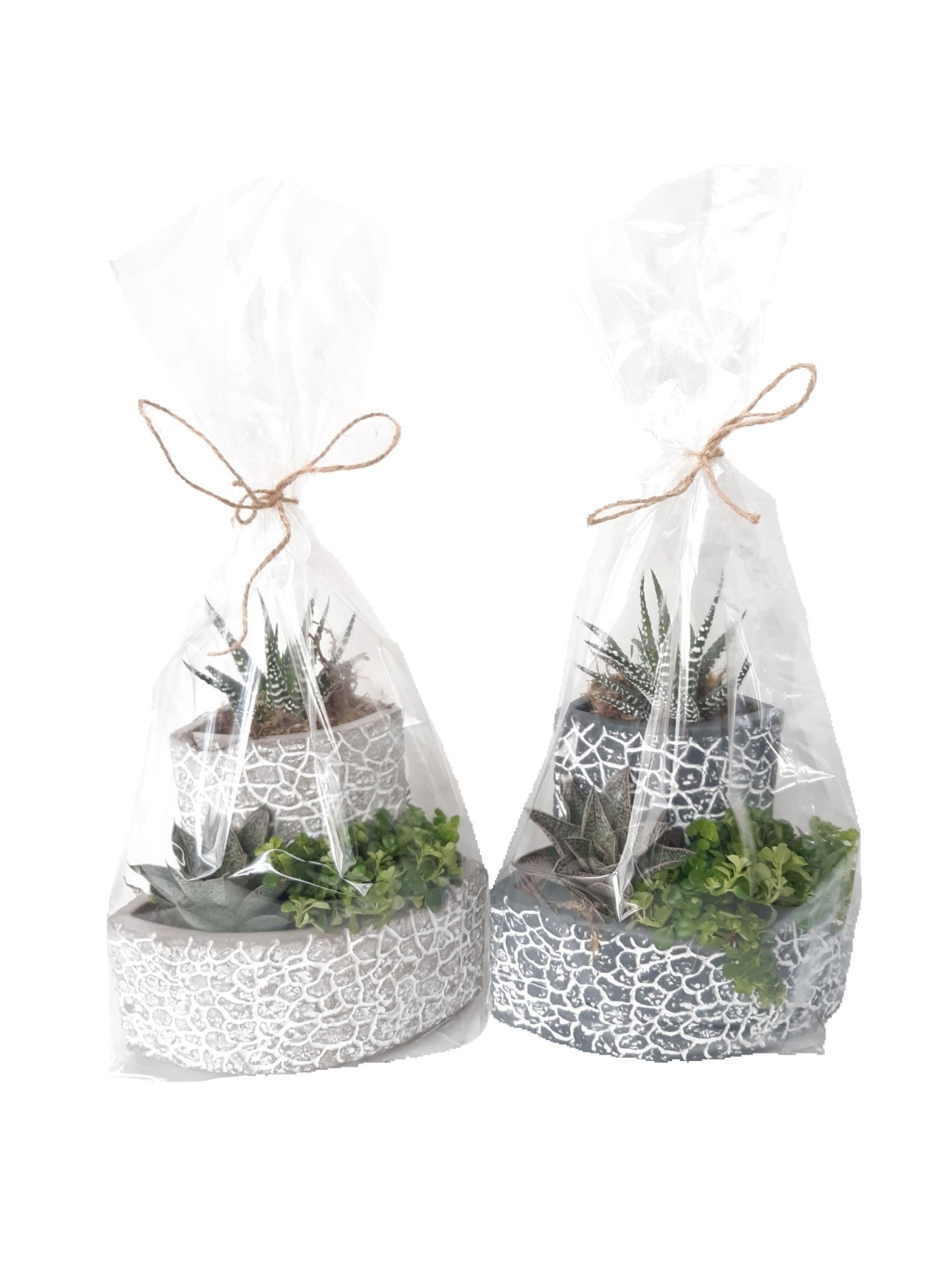 Puzzle Pots XL + S Giftpack Grey/White Mix, D 17 cm