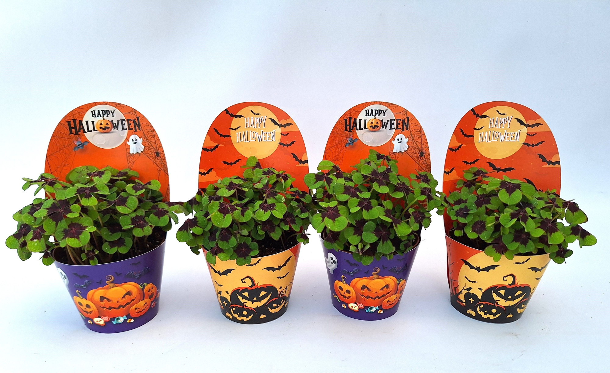 Cover Halloween, D 9 cm