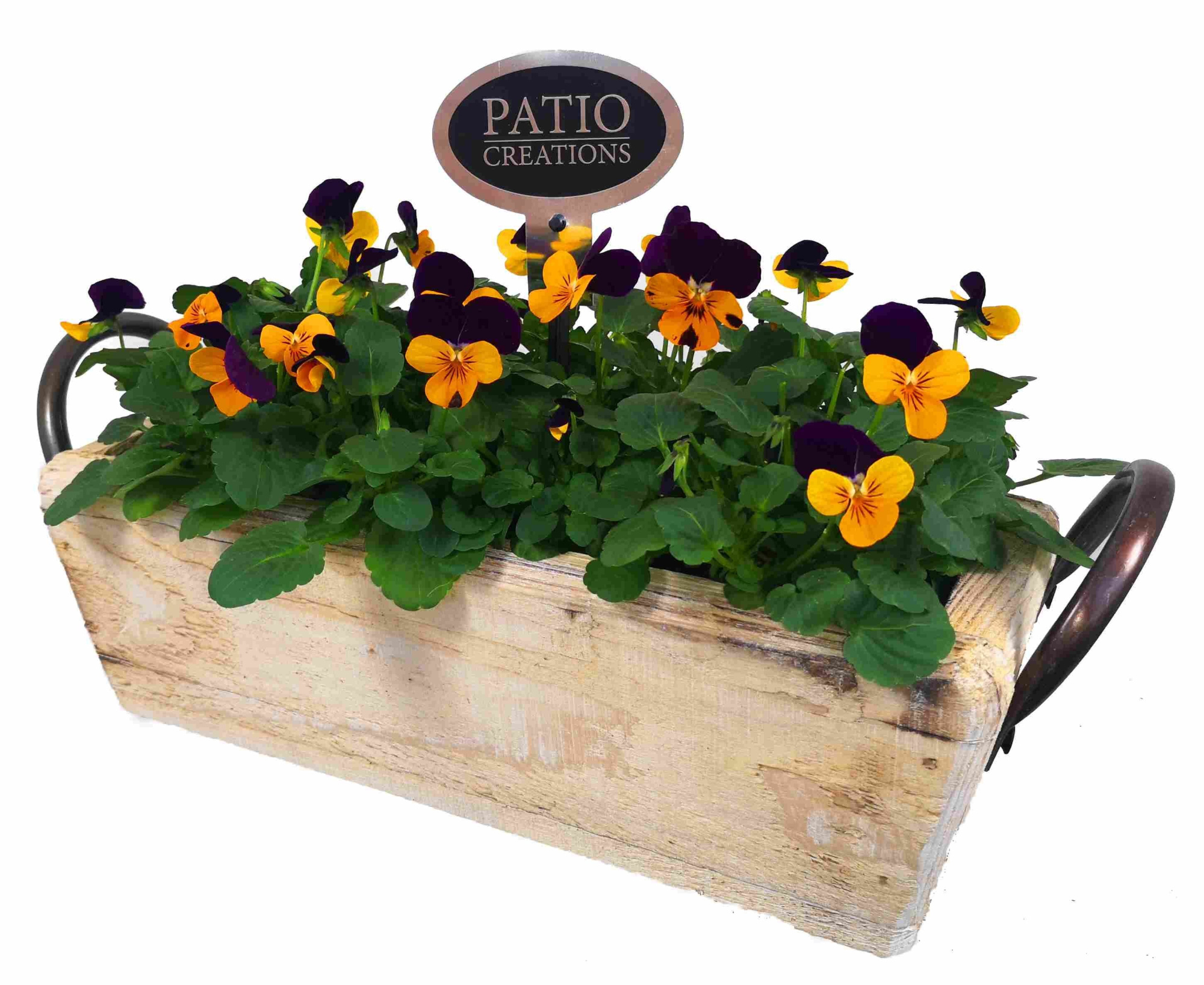 V674-9003 Viola dennenhout metaal oren M, D 32 cm