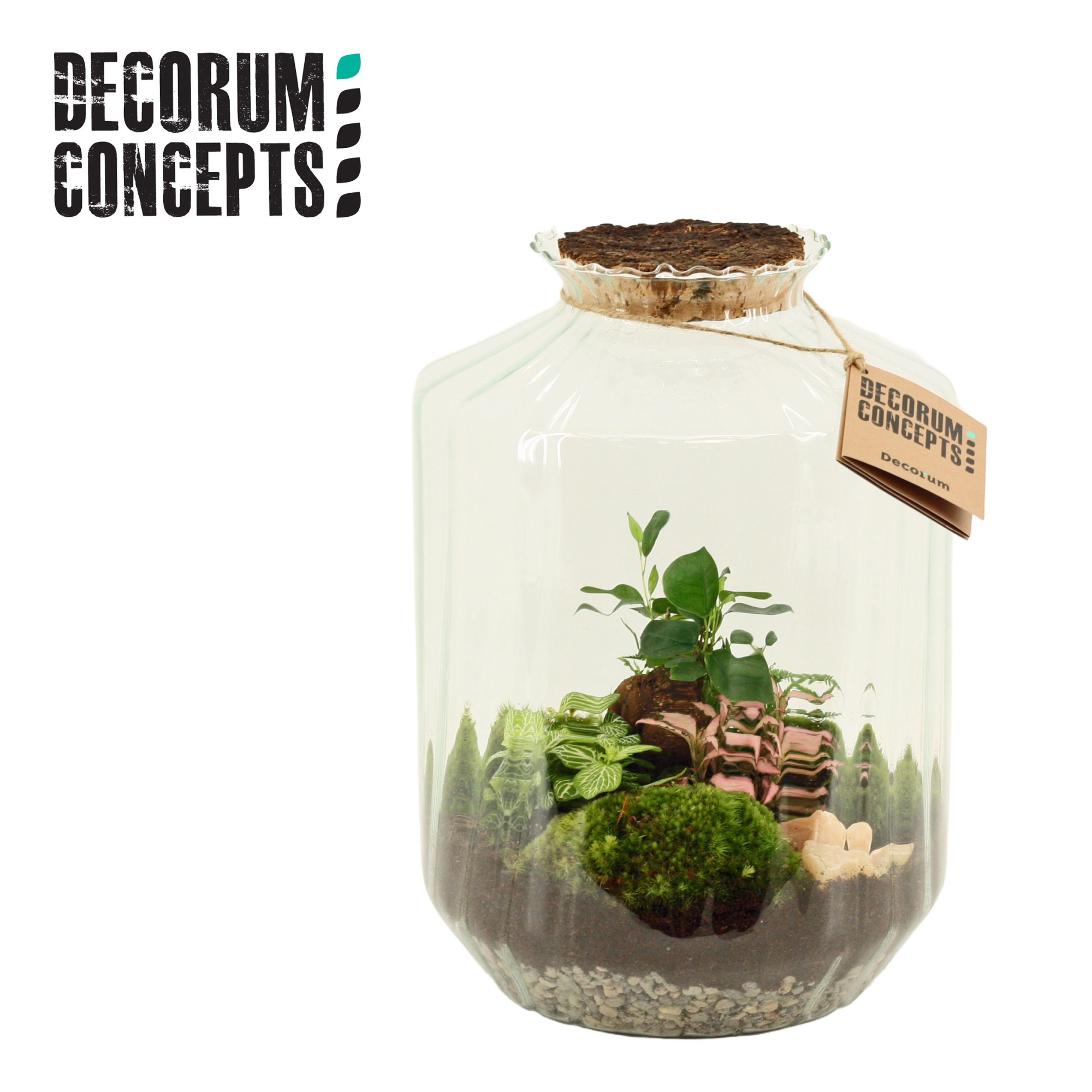 Terrarium Strepe (Decorum concepts), D 25 cm