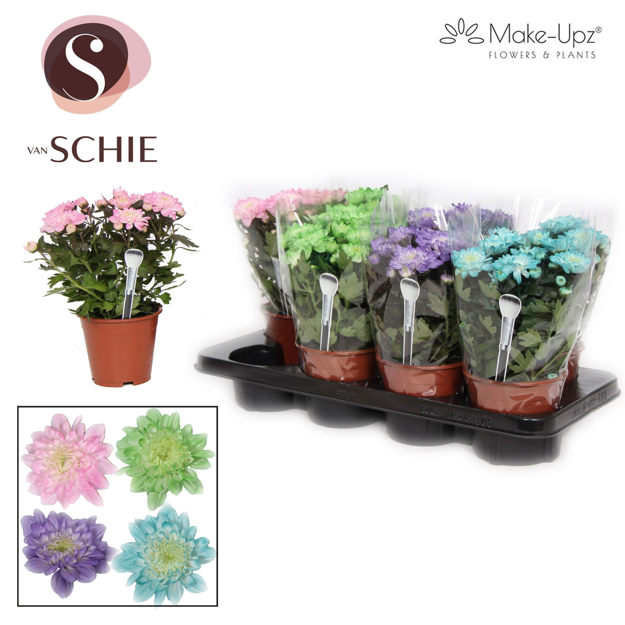Chrysanne Grandezza Make-Upz® Mix I, D 13 cm