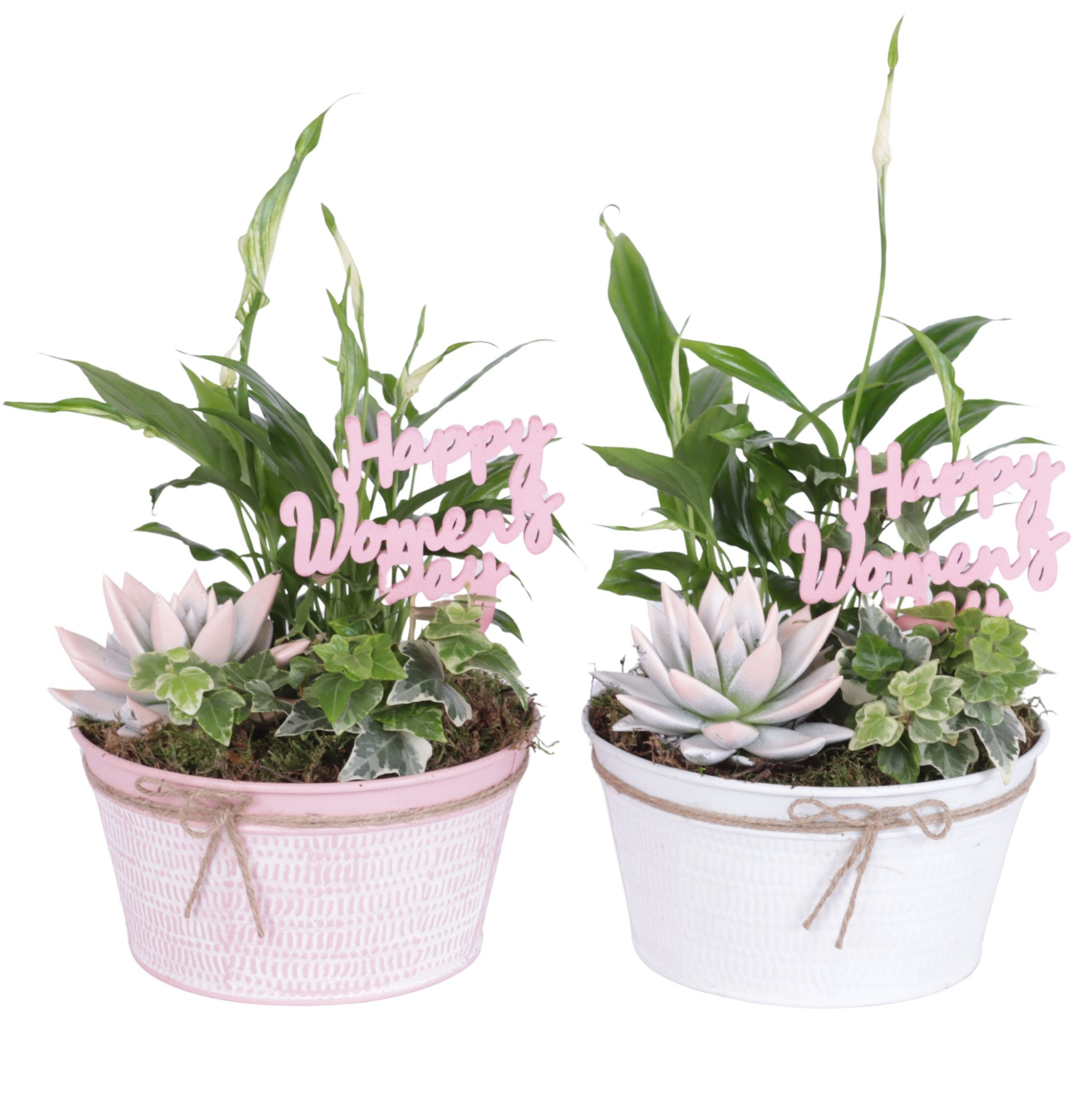 Womens Day Arr. Indoor Zinc Pot Round Pink/White Ø17cm 3PP, D 17