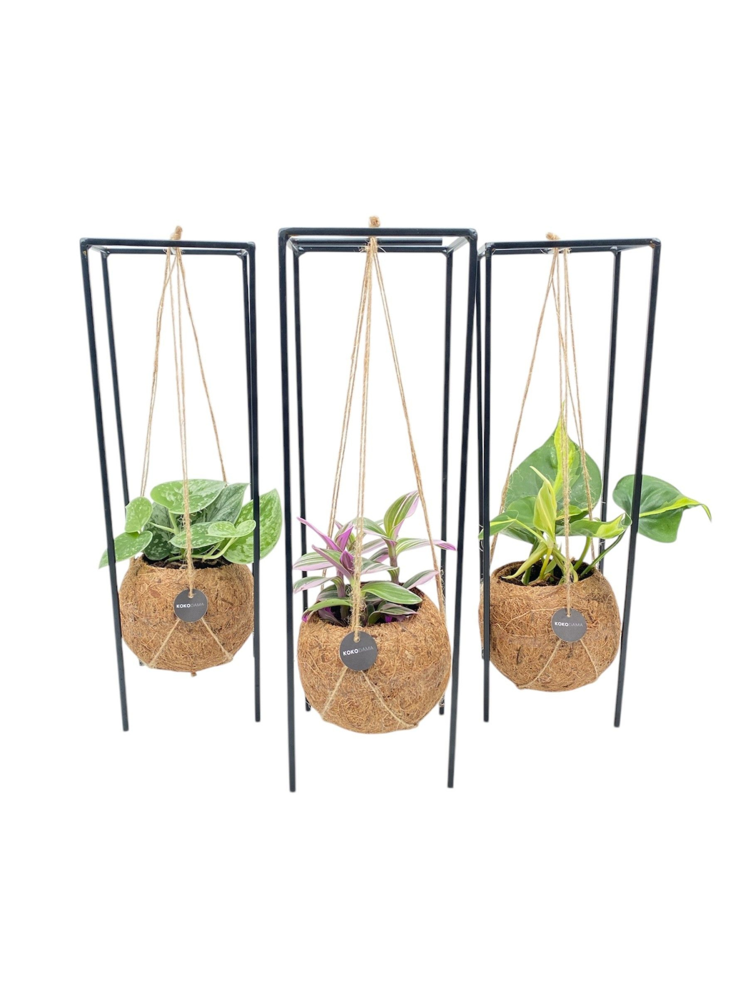 Kokodama 12 cm Hanging Industrial Green mix, D 12 cm