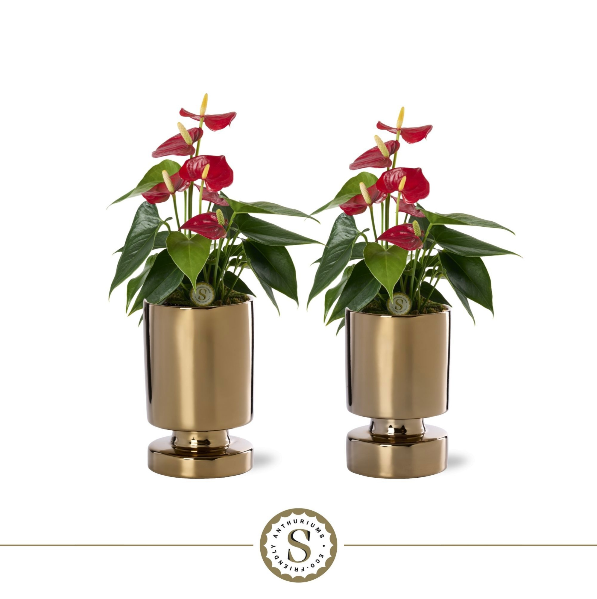 Stockholm Gold Keramiek 9cm Red Champion, D 9 cm