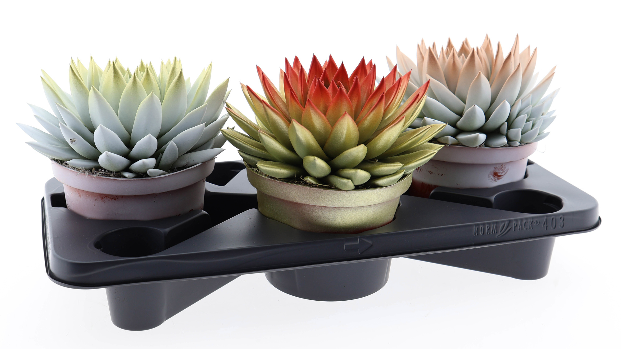 2 colors kerstmix, D 17