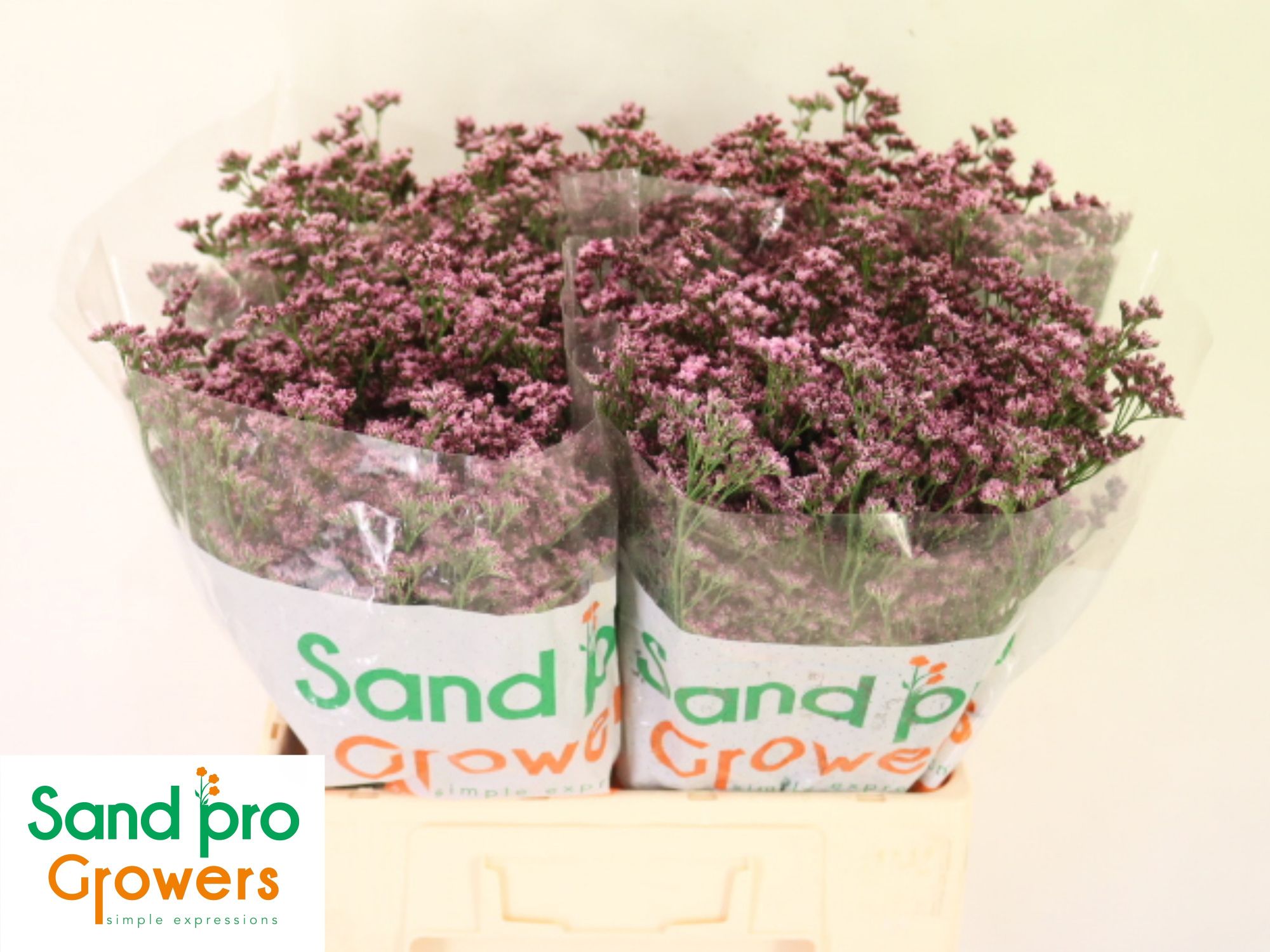 Лимониум Сильвери Пинк 60, шт.