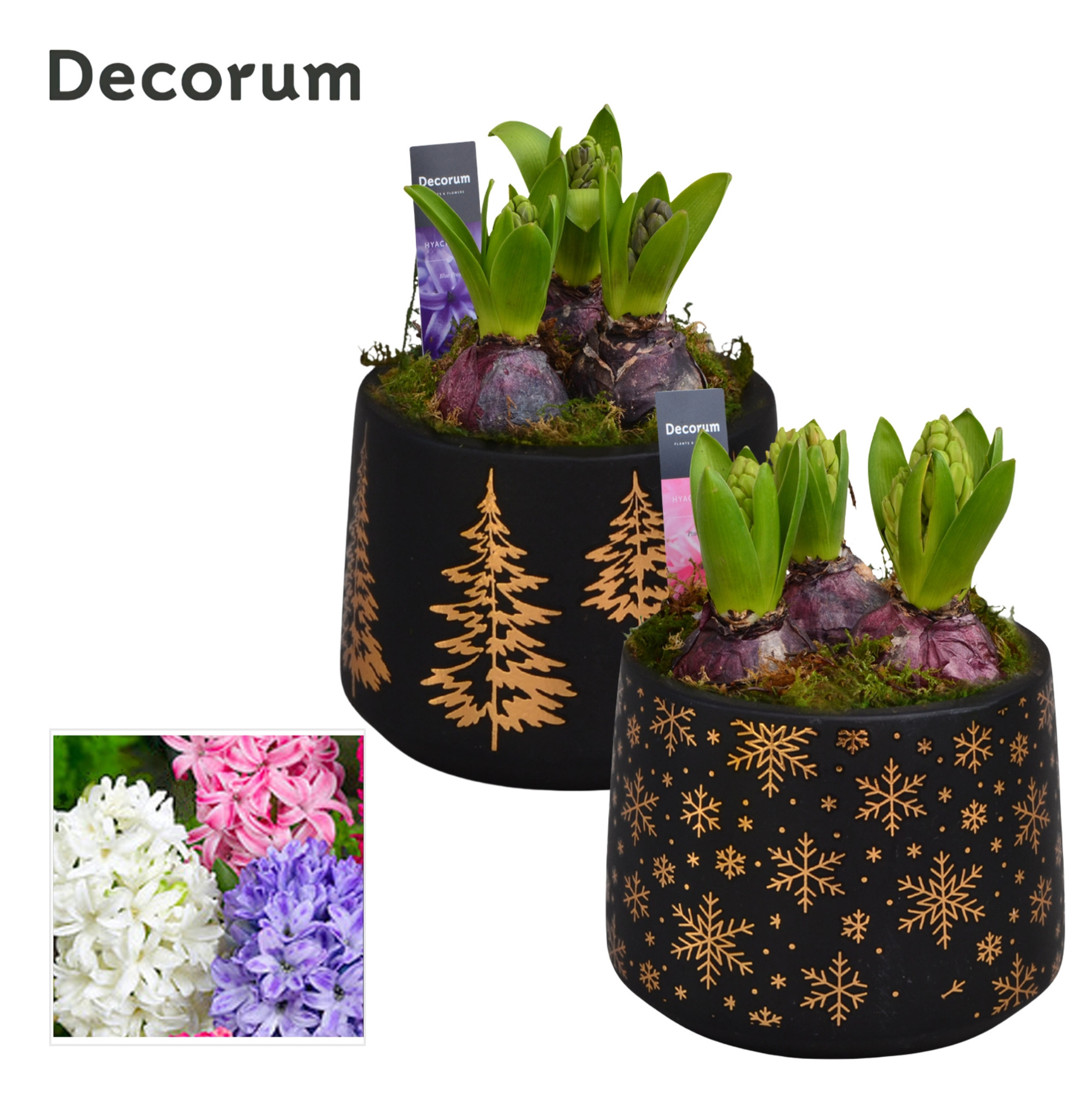 Hyacint Christmas Sparkling HL15932 [SHINY & SPARKLING], D 13